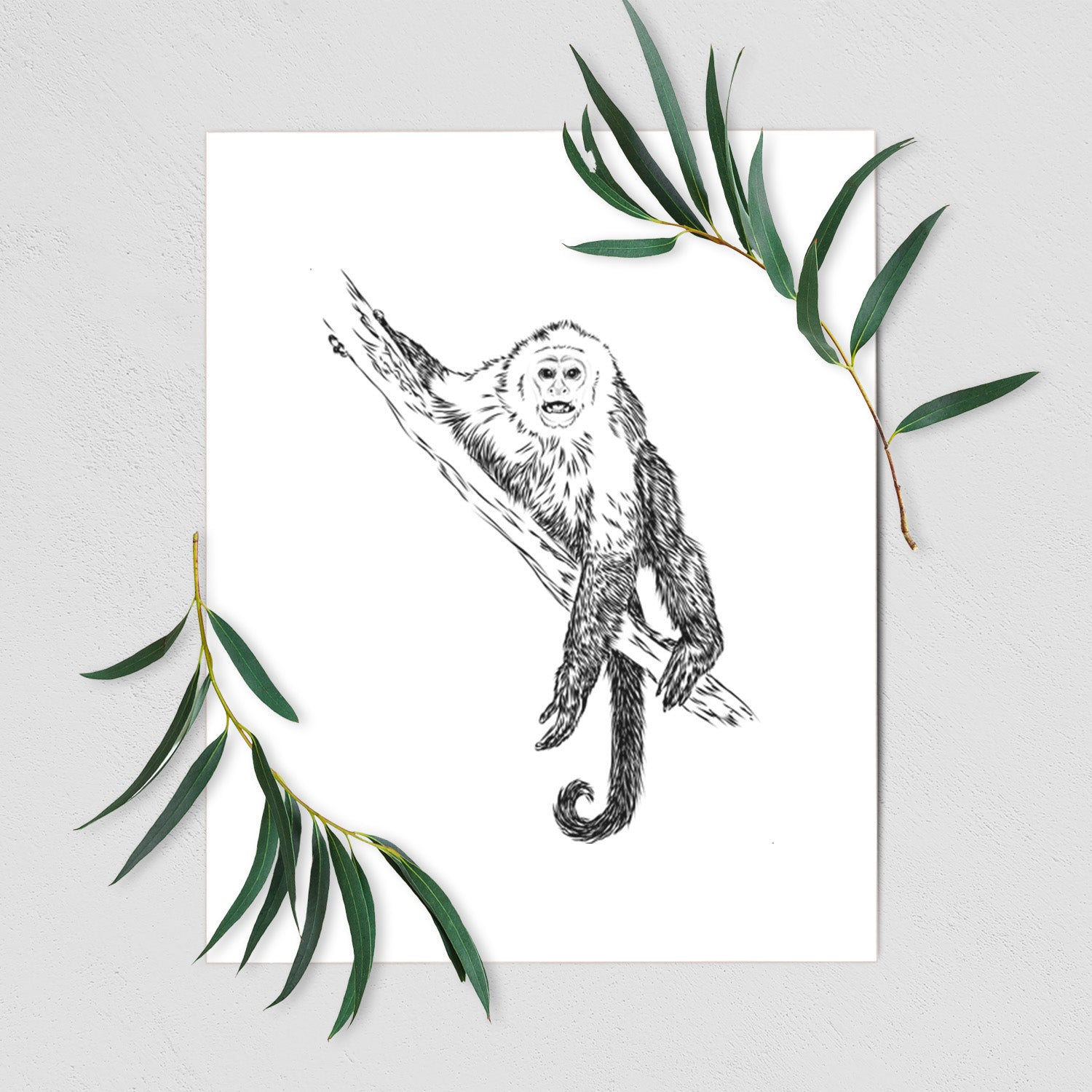 Art print of a detailed black ink illustration of a capuchin monkey climbing a branch, shown with eucalyptus leaves.