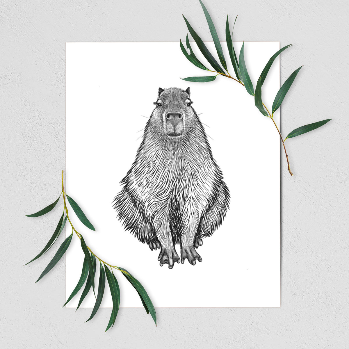 Art print of a detailed black ink illustration of a capybara sitting and facing forward, shown with eucalyptus leaves.