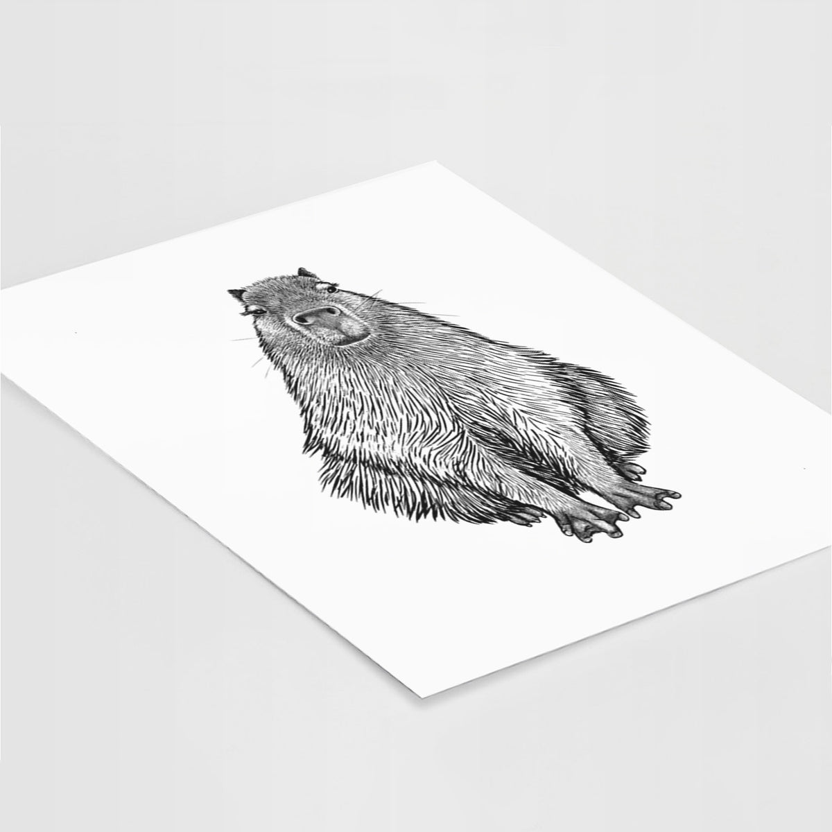 Art print of a detailed black ink illustration of a capybara sitting and facing forward, lying at an angle on a white surface.
