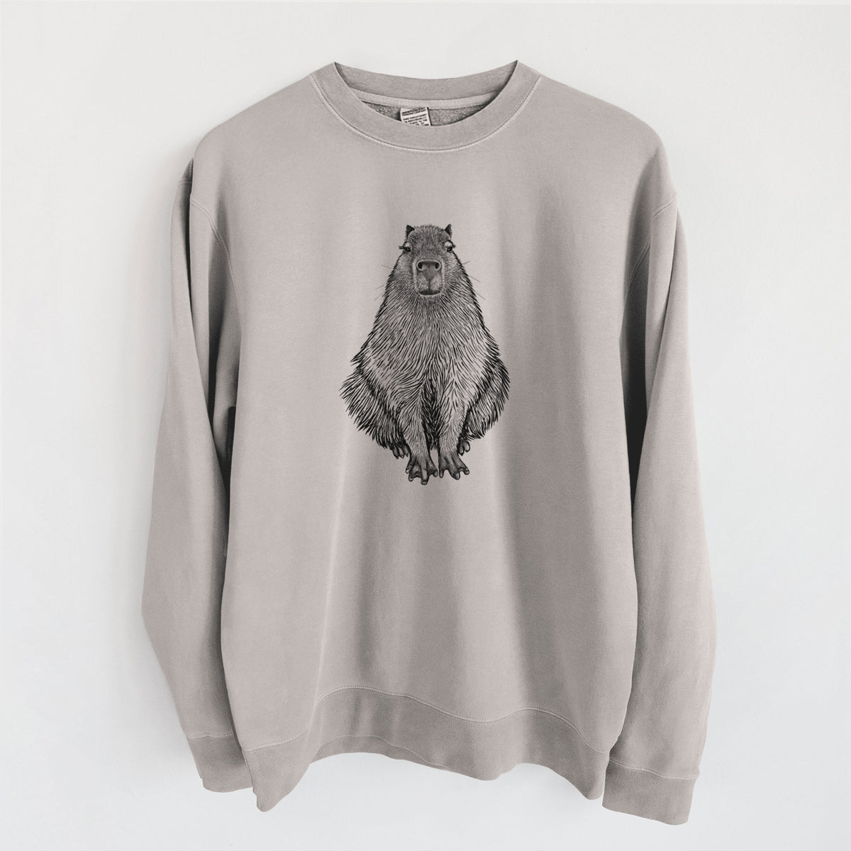 Capybara - Hydrochoerus hydrochaeris - Unisex Pigment Dyed Crew Sweatshirt in Cement