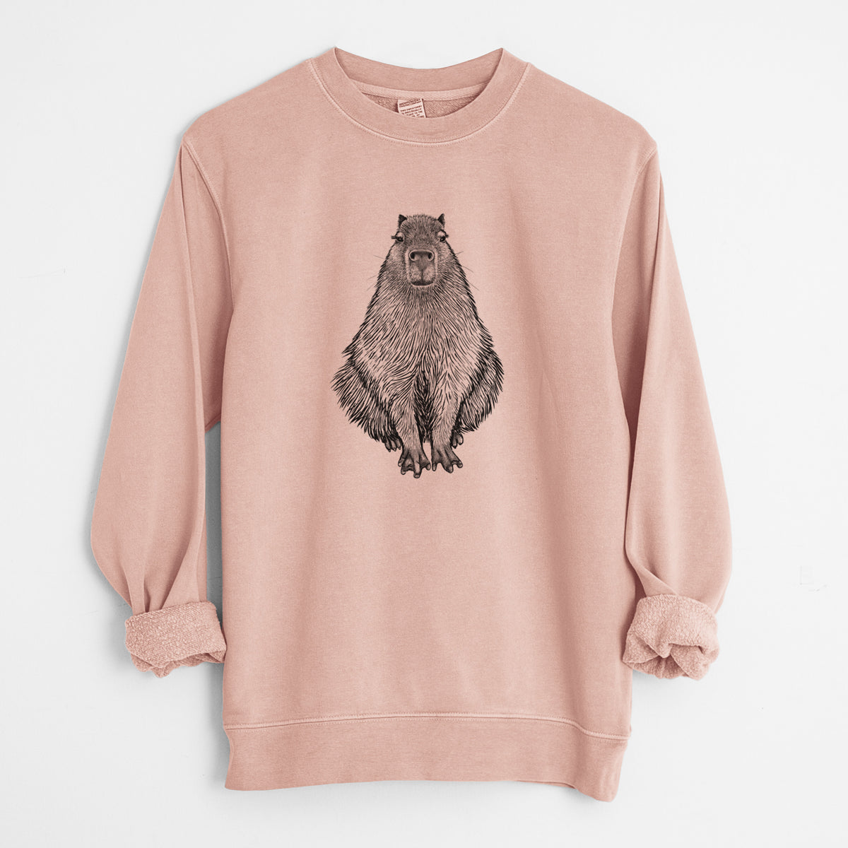 Capybara - Hydrochoerus hydrochaeris - Unisex Pigment Dyed Crew Sweatshirt in Dusty Pink