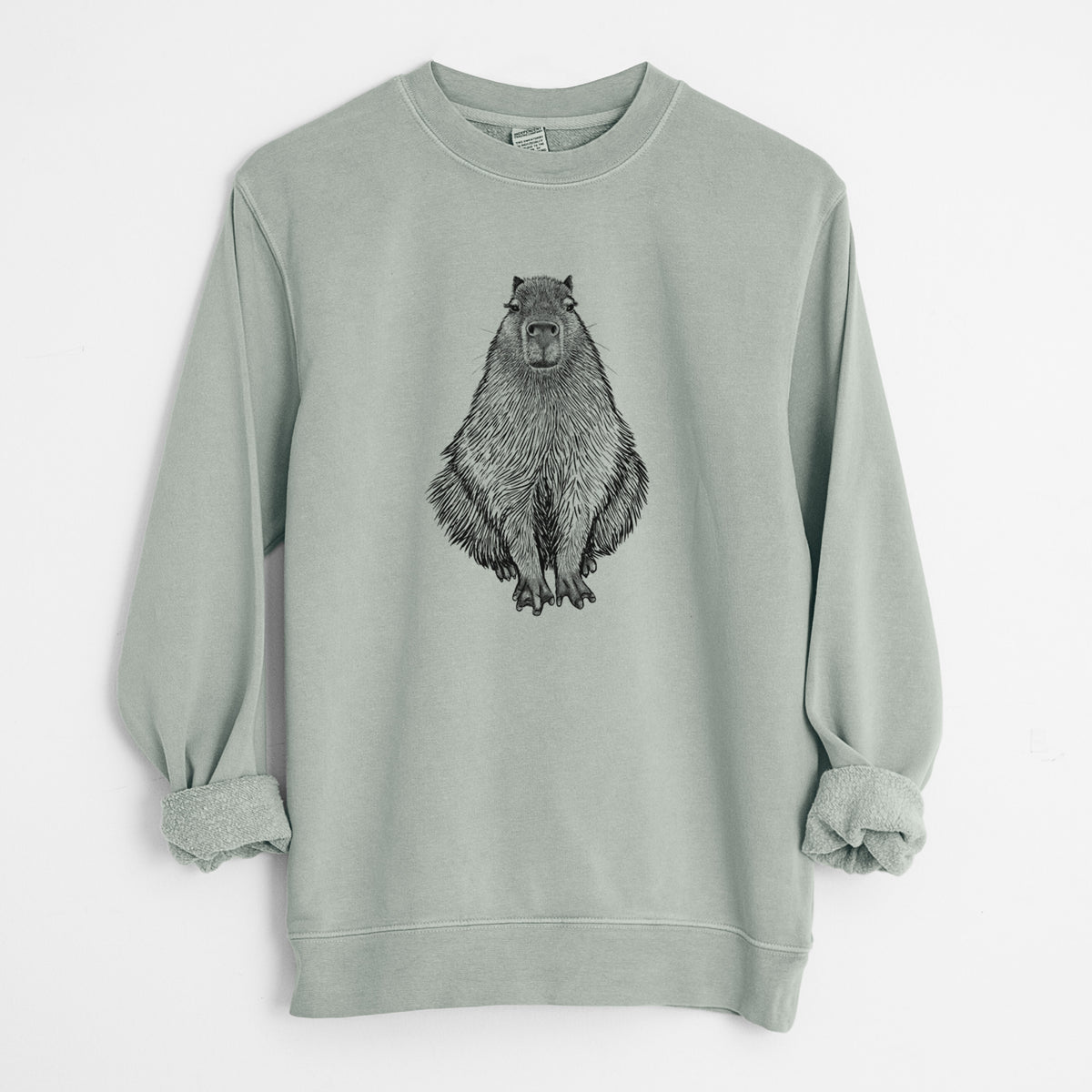 Capybara - Hydrochoerus hydrochaeris - Unisex Pigment Dyed Crew Sweatshirt in Sage