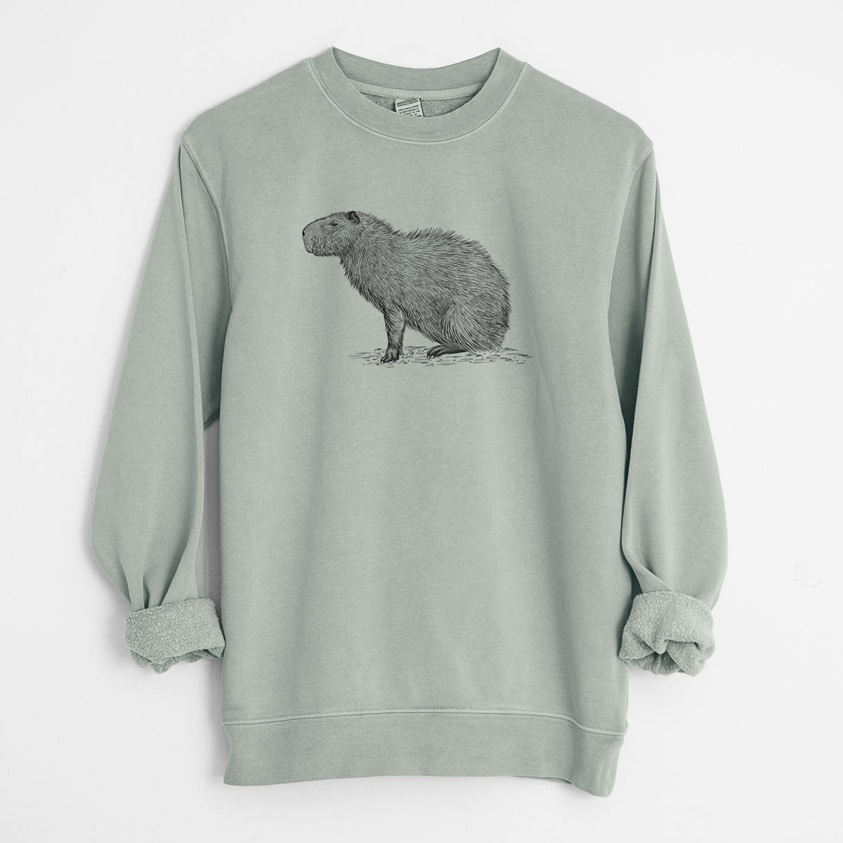 Capybara Profile - Hydrochoerus hydrochaeris - Unisex Pigment Dyed Crew Sweatshirt in Sage