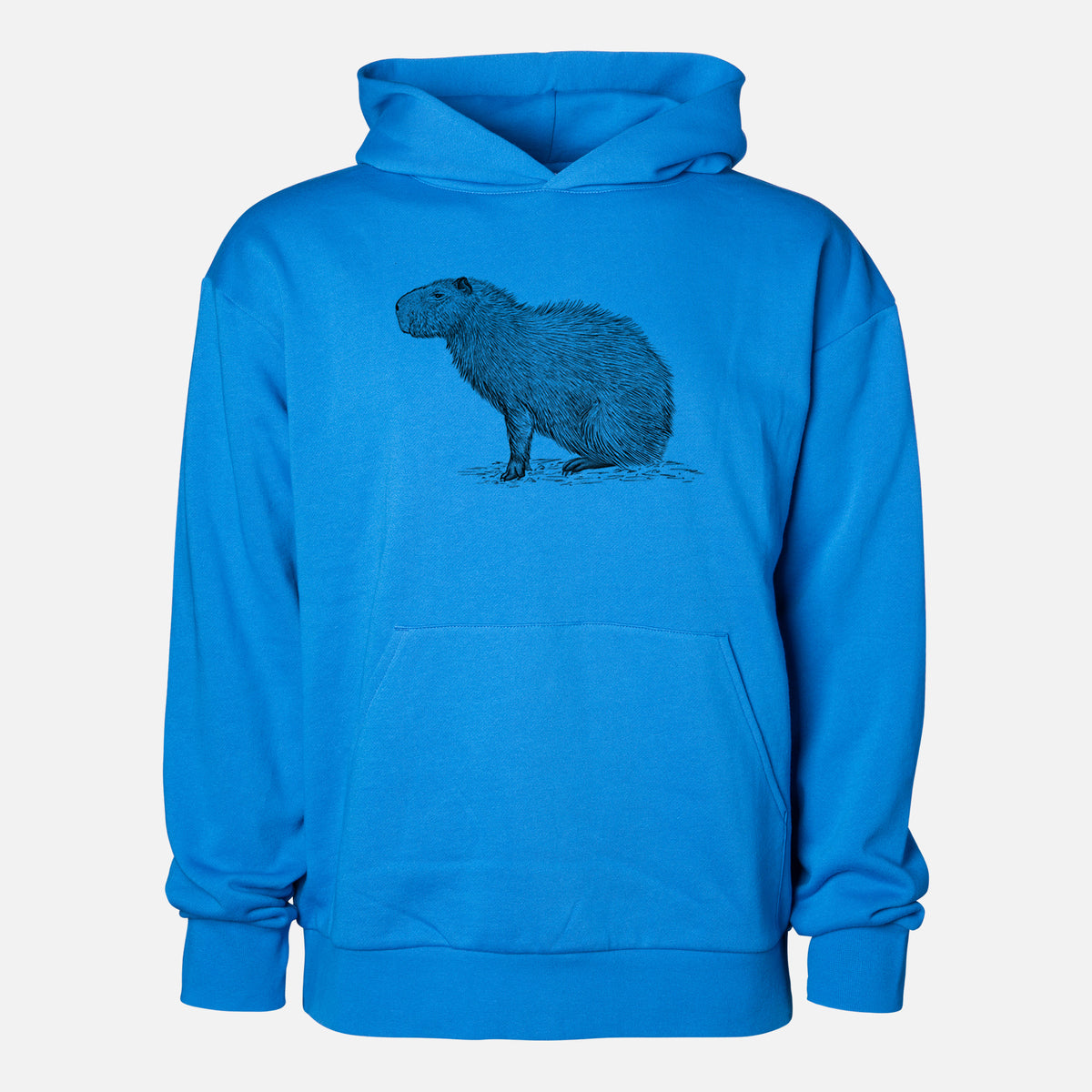 Capybara Profile - Hydrochoerus hydrochaeris - Statement Midweight Hoodie in Azure Blue, shown from the front with the design printed on the chest above a front kangaroo pocket.