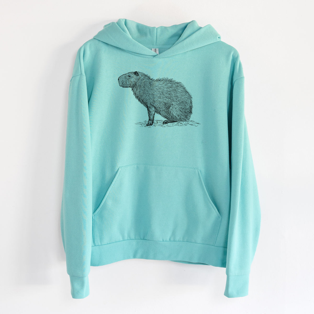 Capybara Profile - Hydrochoerus hydrochaeris - Statement Midweight Hoodie in Seafoam, hanging on a white wall, with a front kangaroo pocket and no drawcords.