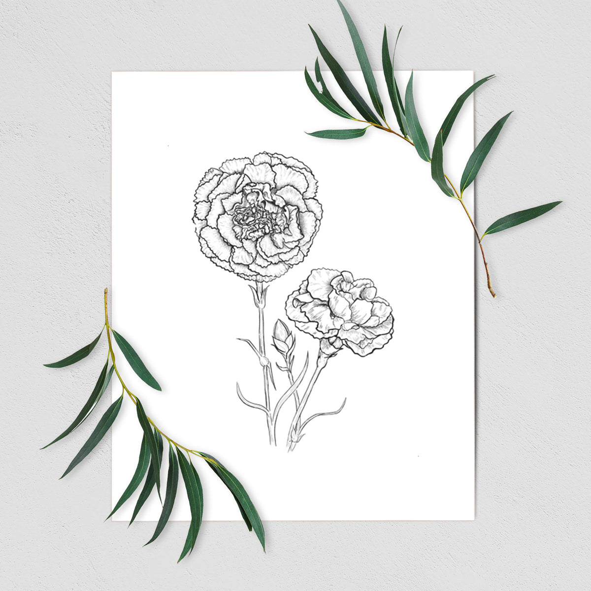 Art print of a black ink line drawing of carnation flowers on stems, shown with eucalyptus leaves.