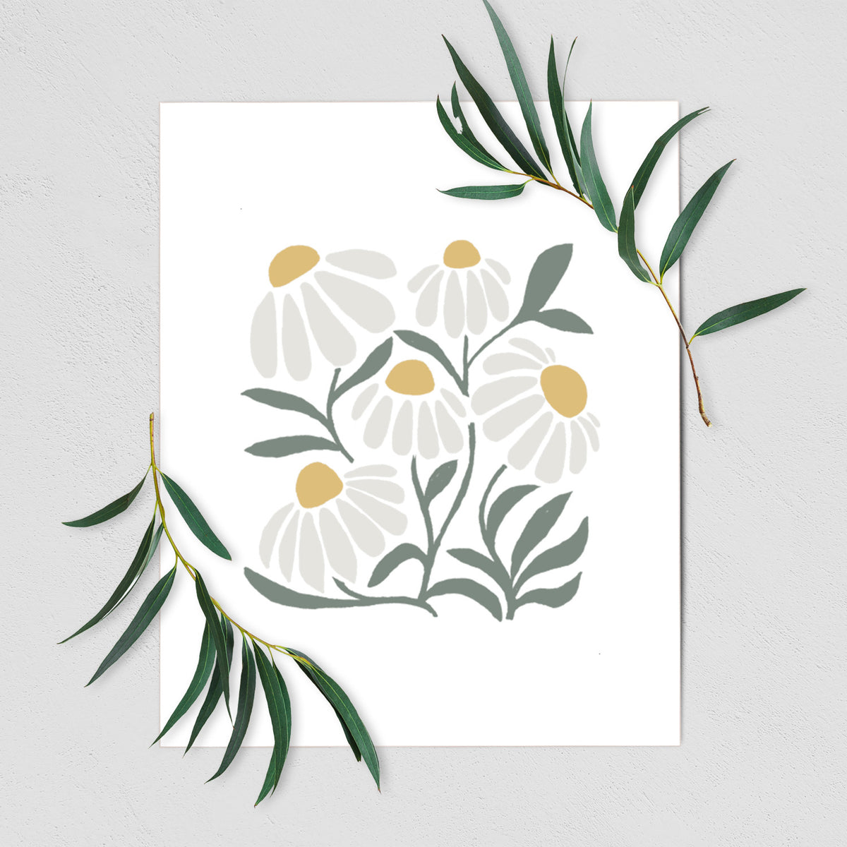 Art print of a soft full-color illustration of white chamomile flowers and green leaves, shown with eucalyptus leaves.