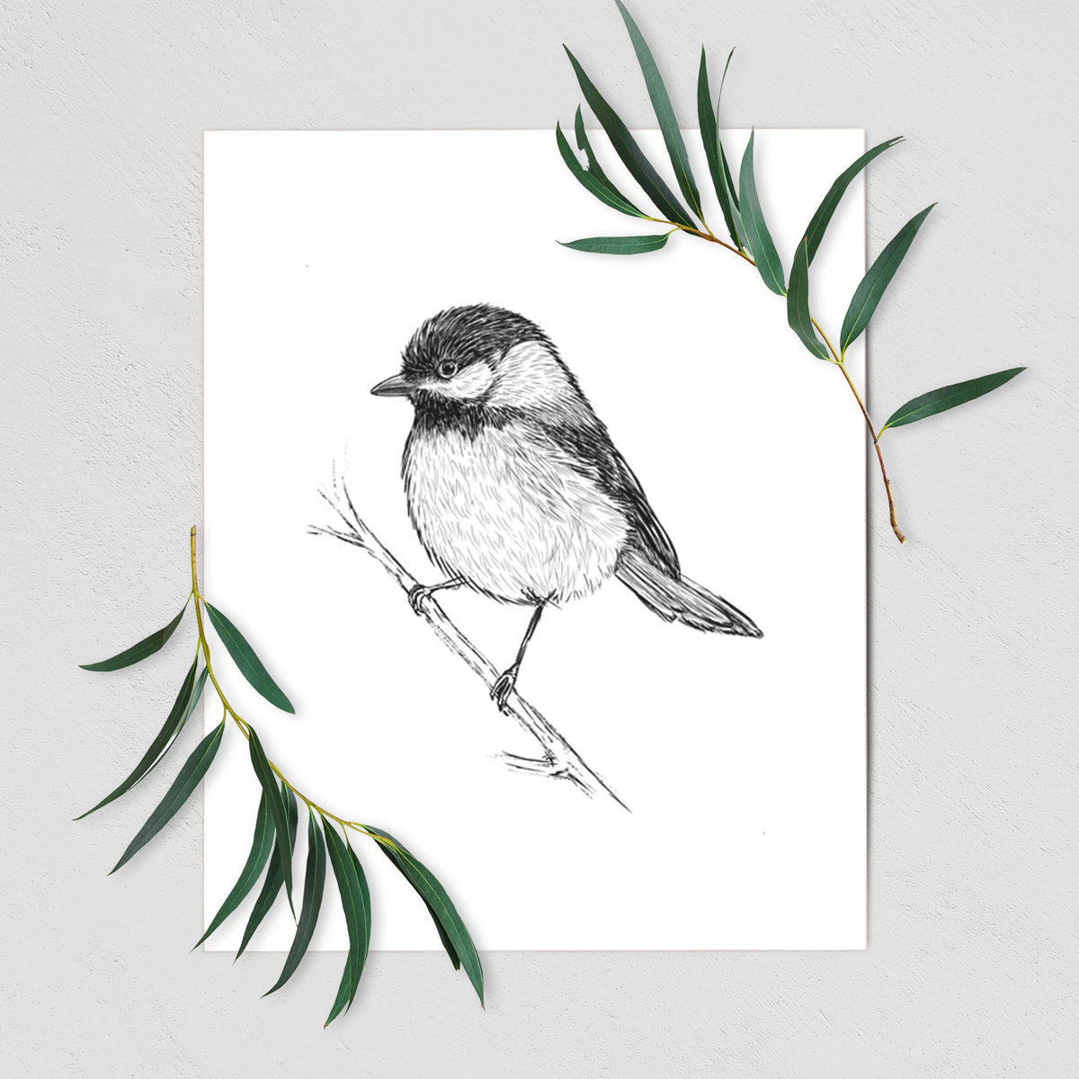 Art print of a detailed black ink sketch of a black-capped chickadee perched on a branch, shown with eucalyptus leaves.