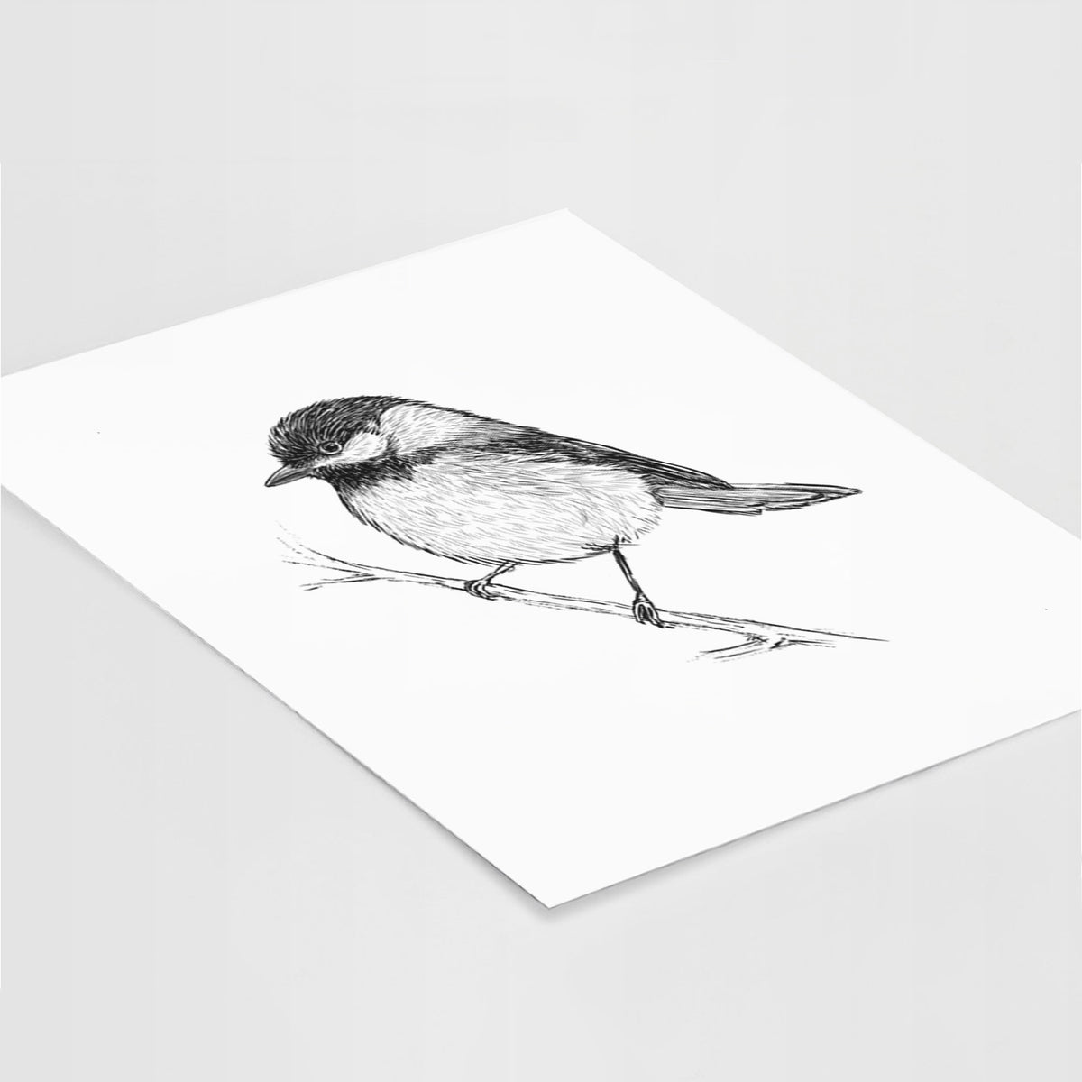 Art print of a detailed black ink sketch of a black-capped chickadee perched on a branch, lying at an angle on a white surface.