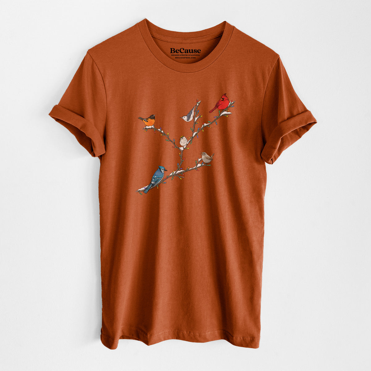Autumn lightweight cotton t-shirt laid flat, printed with a full-color illustration of winter backyard birds, including a cardinal, blue jay and robin, perched on bare branches.