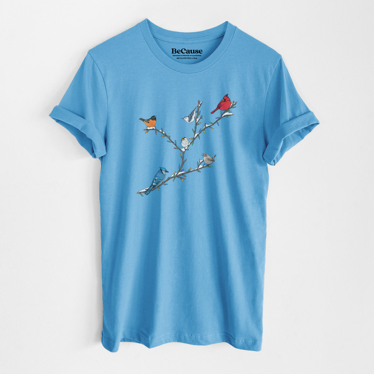 Ocean blue lightweight cotton t-shirt laid flat, printed with a full-color illustration of winter backyard birds, including a cardinal, blue jay and robin, perched on bare branches.