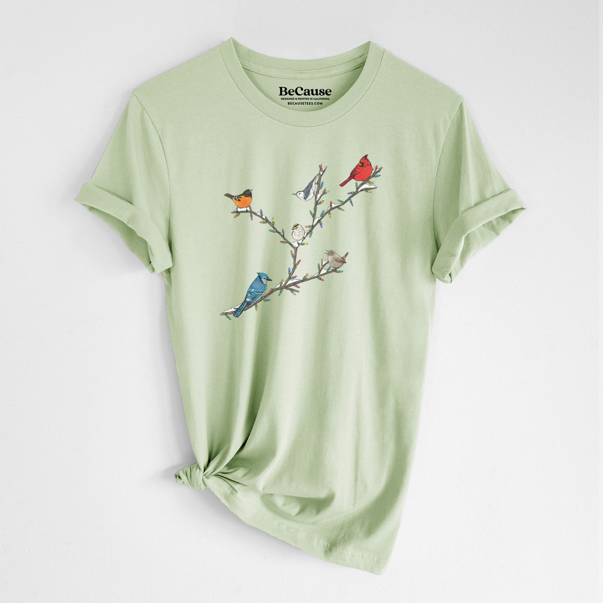 Spring green lightweight cotton t-shirt laid flat with the sleeves rolled, printed with a full-color illustration of winter backyard birds, including a cardinal, blue jay and robin, perched on bare branches.