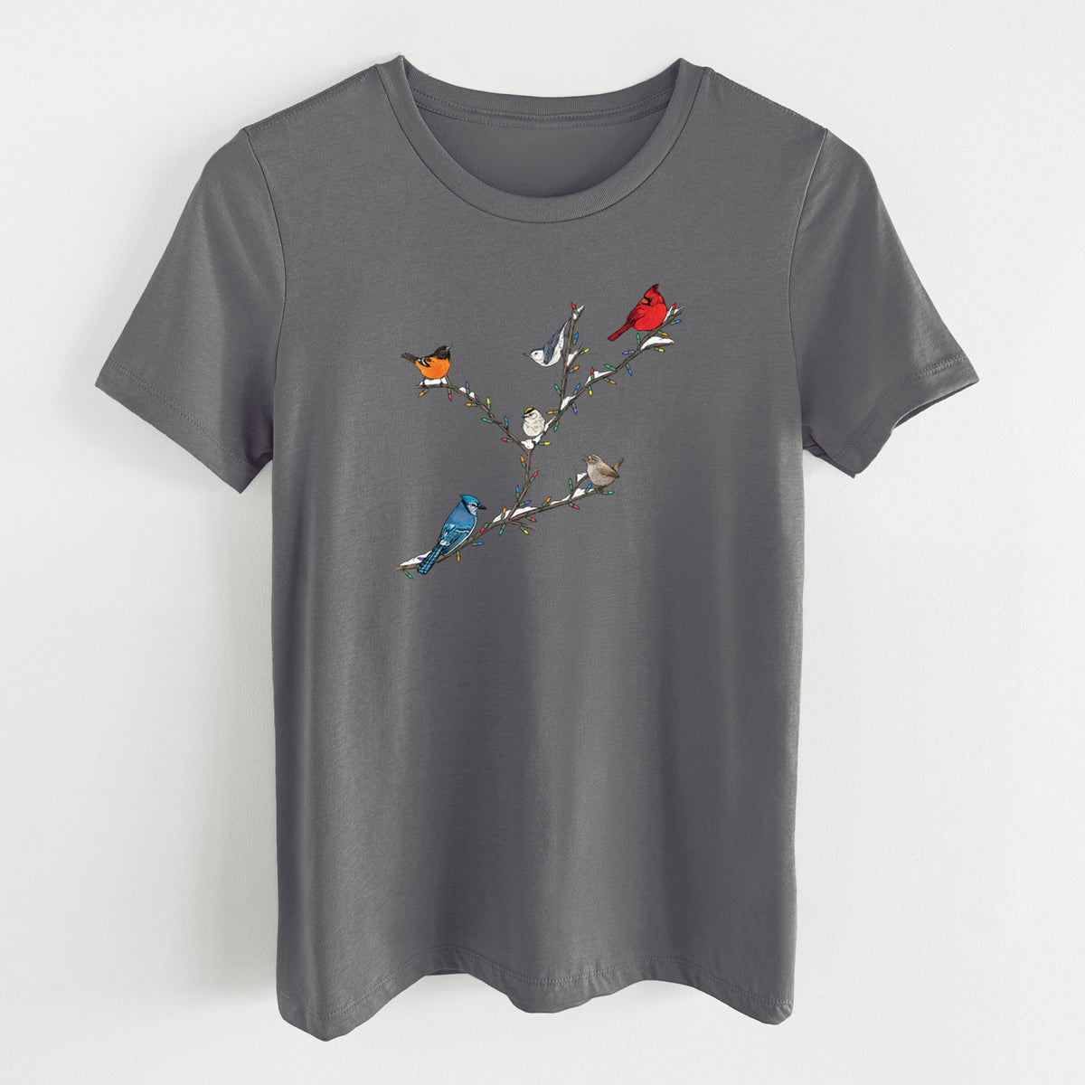 Asphalt women's relaxed fit cotton t-shirt laid flat, printed with a full-color illustration of winter backyard birds, including a cardinal, blue jay and robin, perched on bare branches.
