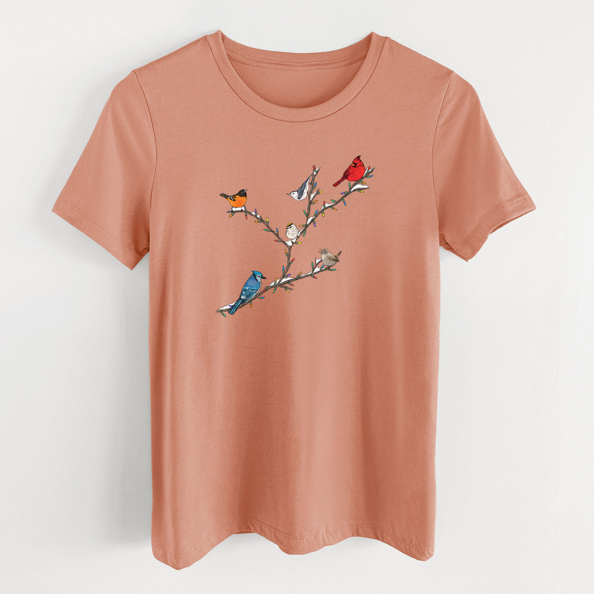 Terracotta orange women's relaxed fit cotton t-shirt laid flat, printed with a full-color illustration of winter backyard birds, including a cardinal, blue jay and robin, perched on bare branches.