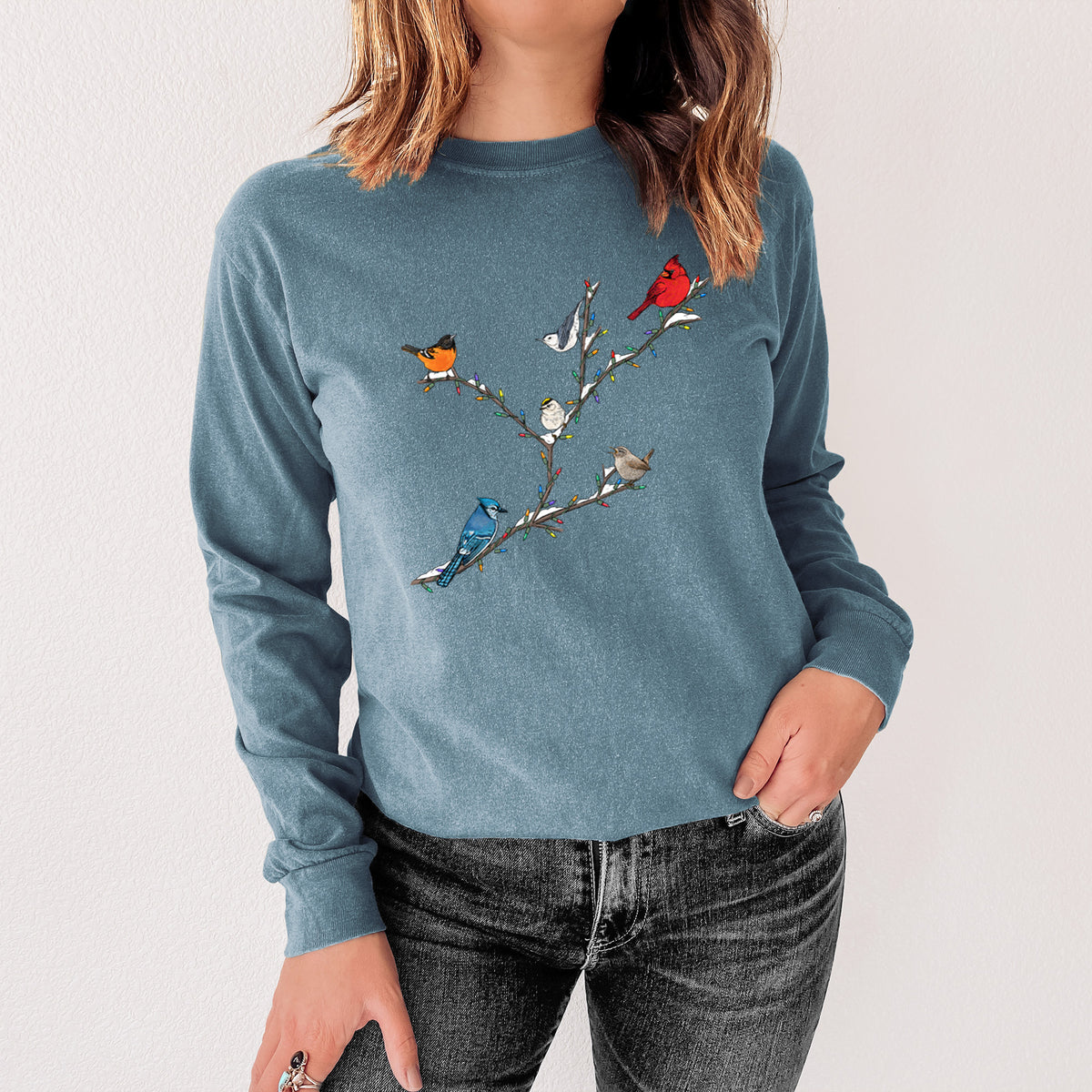 Steel blue Comfort Colors long sleeve shirt printed with a full-color illustration of winter backyard birds, including a cardinal, blue jay and robin, perched on bare branches, shown in a lifestyle photo.