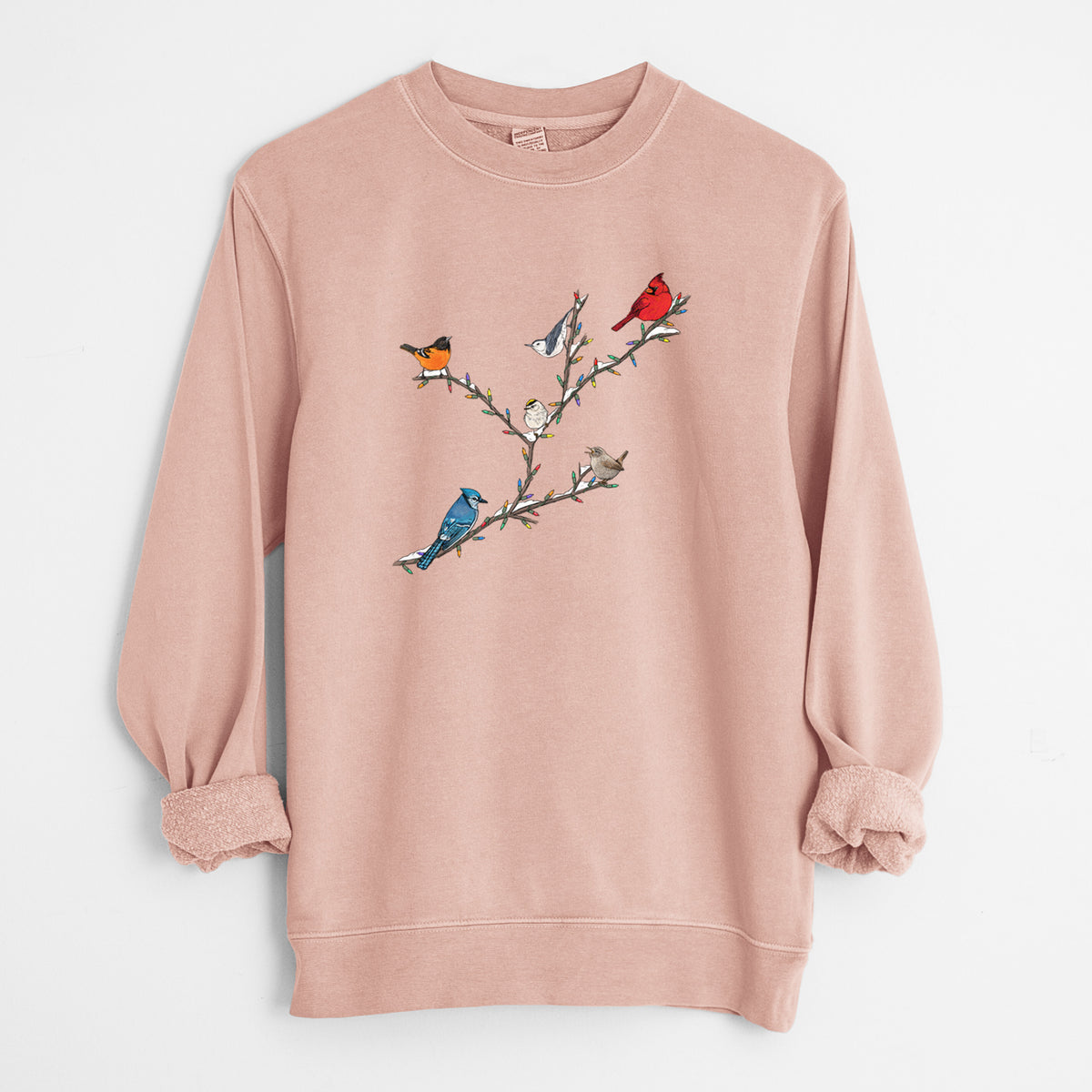 Christmas Backyard Birds - Unisex Pigment Dyed Crew Sweatshirt in Dusty Pink