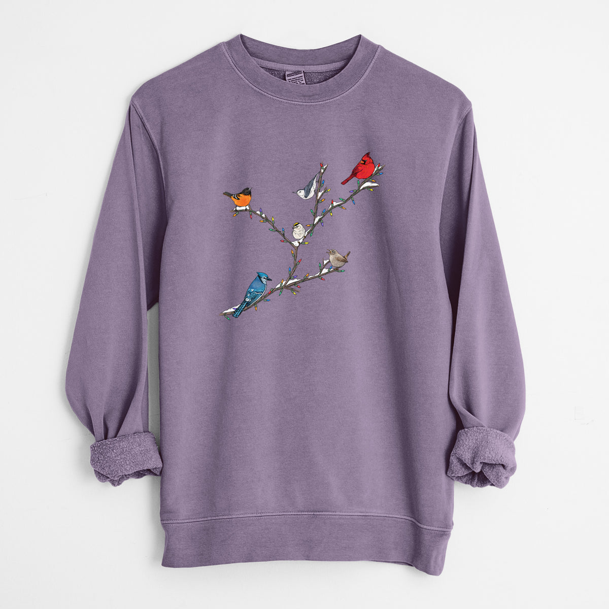 Christmas Backyard Birds - Unisex Pigment Dyed Crew Sweatshirt in Plum