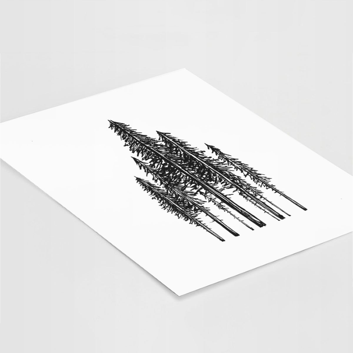 Art print of a black ink illustration of a stand of tall coastal redwood trees with slender trunks and layered branches, lying at an angle on a white surface.