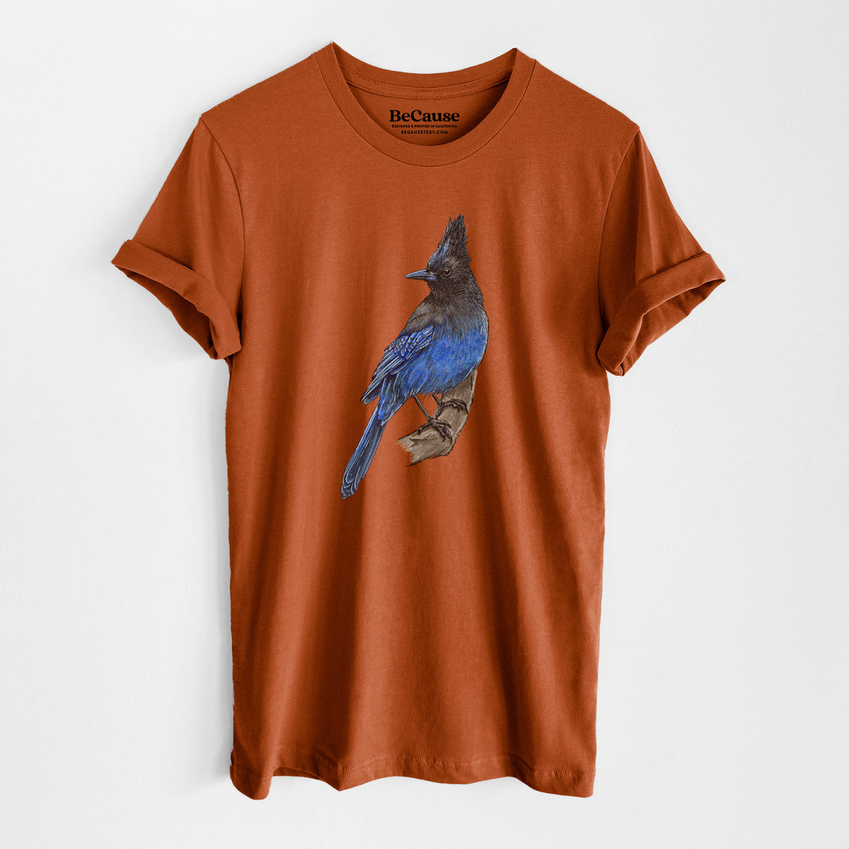Autumn lightweight cotton t-shirt laid flat, printed with a full-color illustration of a Steller's jay perched with its dark crest raised.