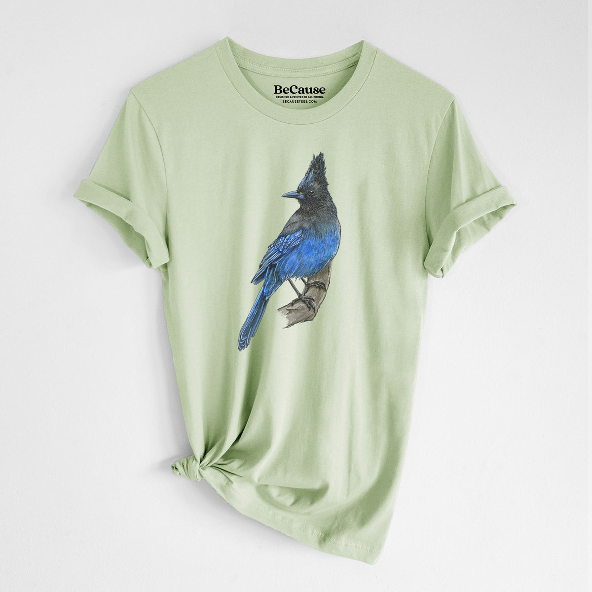 Spring green lightweight cotton t-shirt laid flat with the sleeves rolled, printed with a full-color illustration of a Steller's jay perched with its dark crest raised.