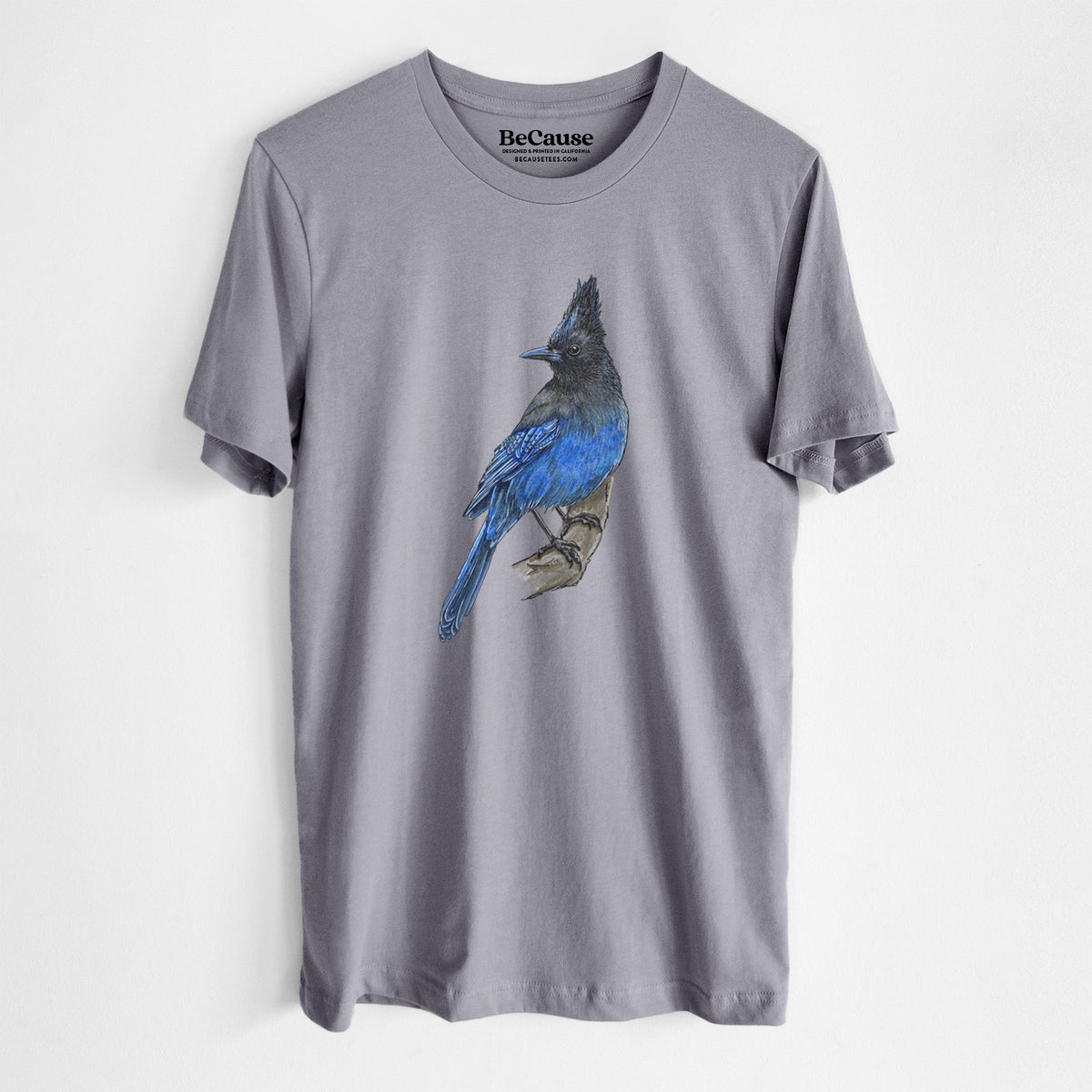 Storm grey lightweight cotton t-shirt laid flat, printed with a full-color illustration of a Steller's jay perched with its dark crest raised.
