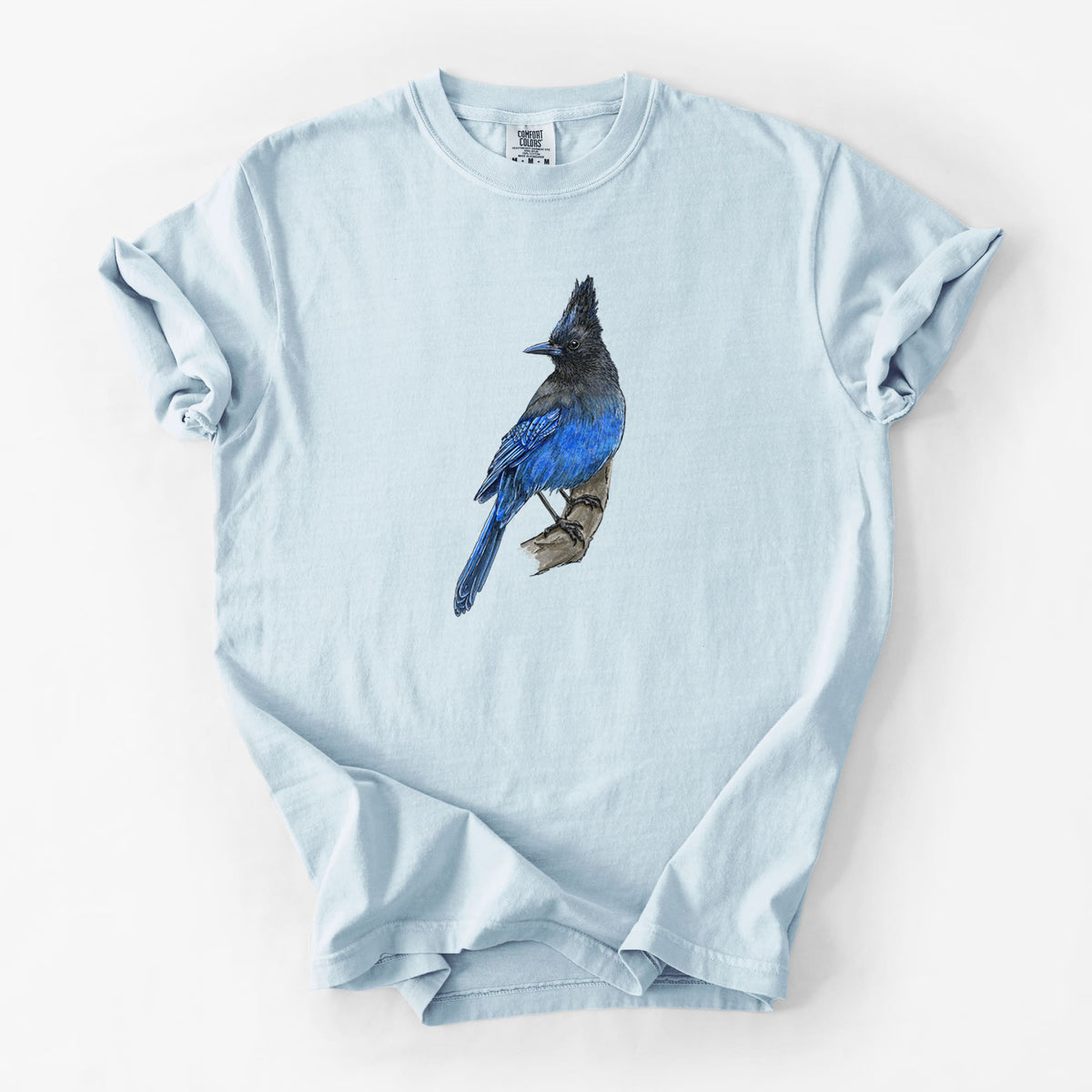 Chambray blue Comfort Colors t-shirt laid flat, printed with a full-color illustration of a Steller's jay perched with its dark crest raised.