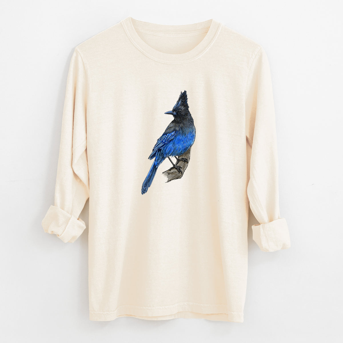 Ivory Comfort Colors long sleeve shirt laid flat with the cuffs rolled, printed with a full-color illustration of a Steller's jay perched with its dark crest raised.