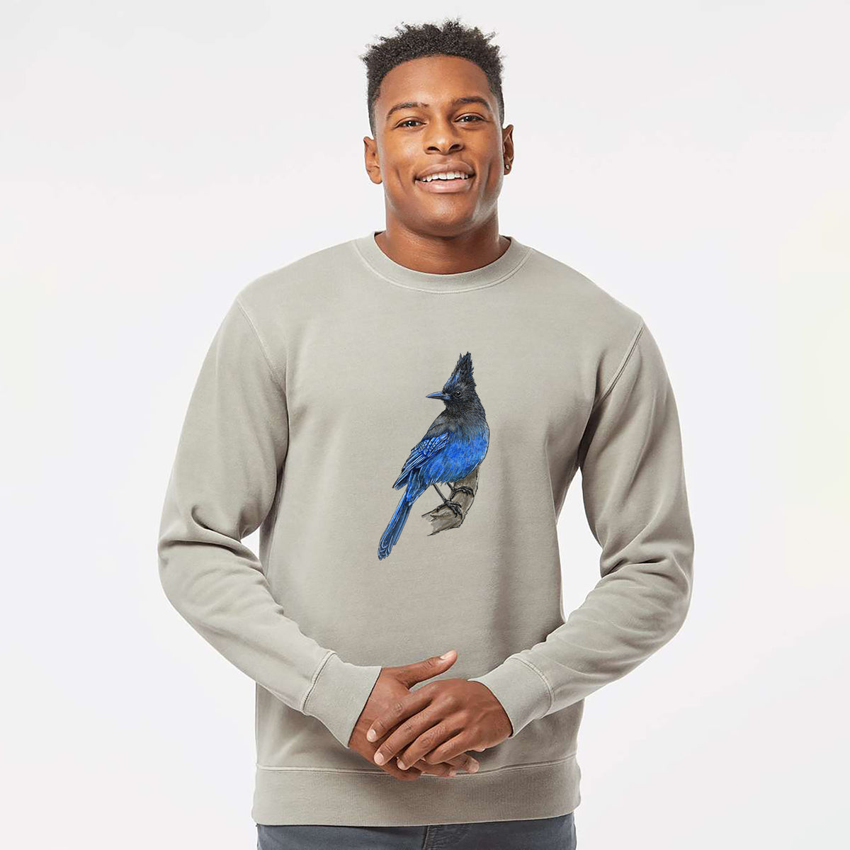 Model wearing a cement grey pigment dyed crewneck sweatshirt printed with a full-color illustration of a Steller's jay perched with its dark crest raised.