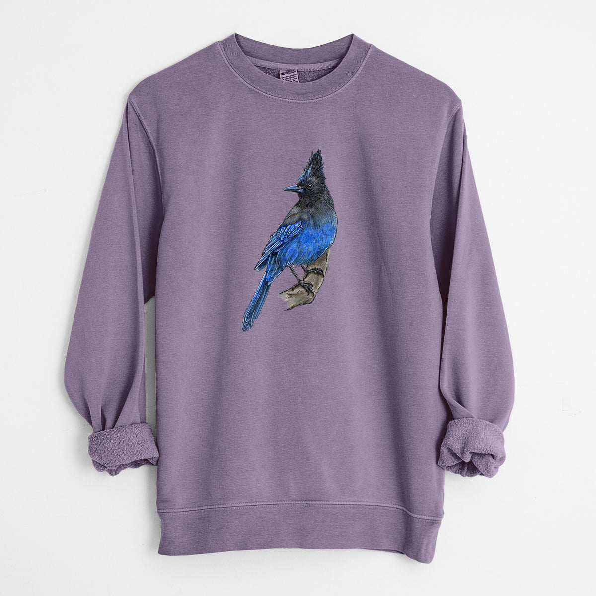 Plum purple pigment dyed crewneck sweatshirt laid flat with the sleeves rolled, printed with a full-color illustration of a Steller's jay perched with its dark crest raised.