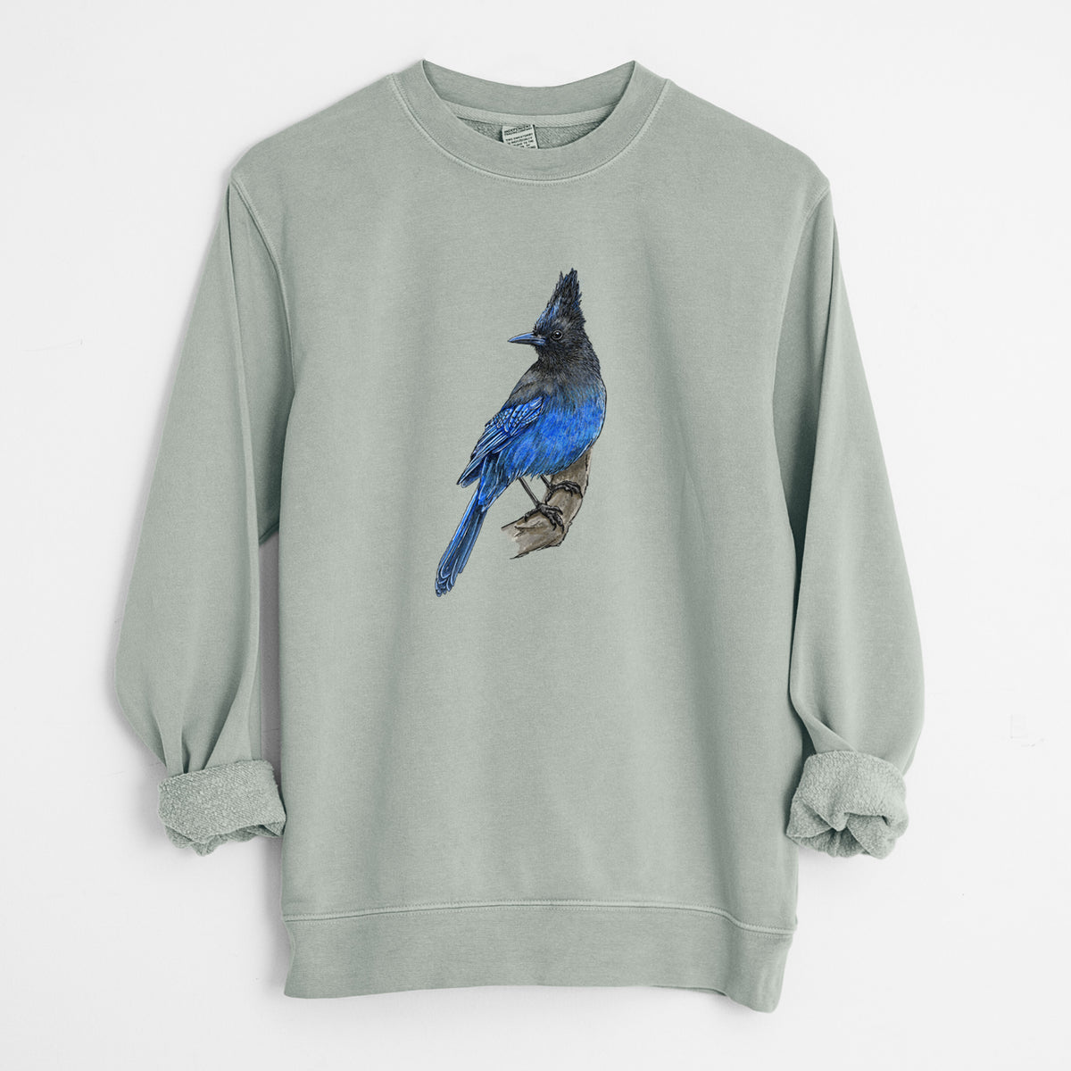 Sage green pigment dyed crewneck sweatshirt laid flat with the sleeves rolled, printed with a full-color illustration of a Steller's jay perched with its dark crest raised.