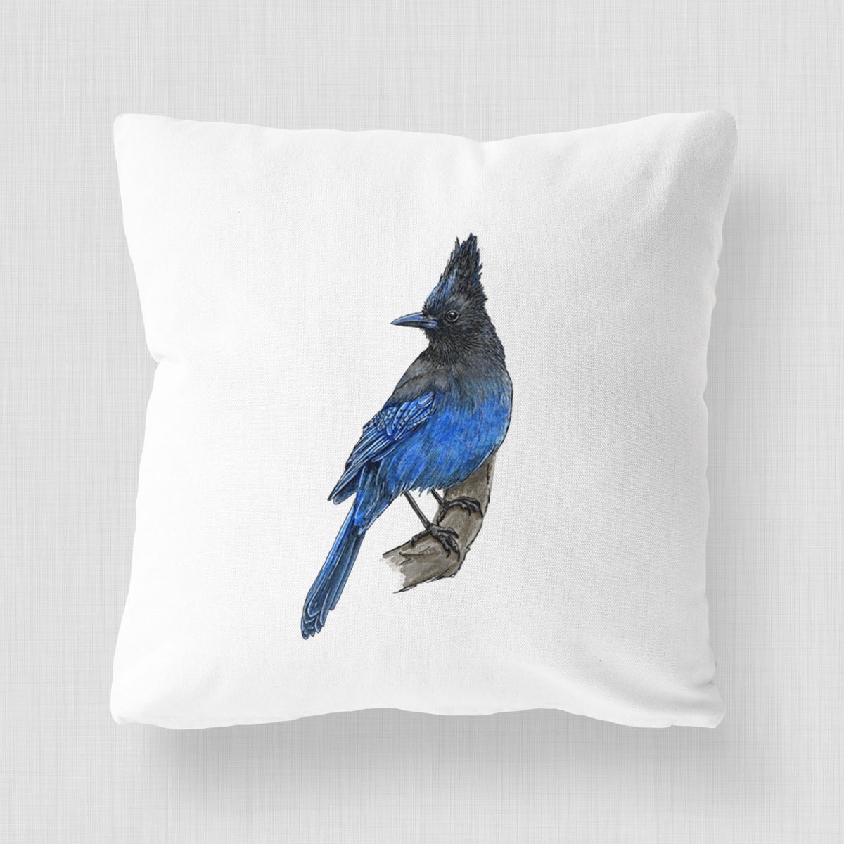 White pillow cover printed with a full-color illustration of a Steller's jay perched with its dark crest raised.