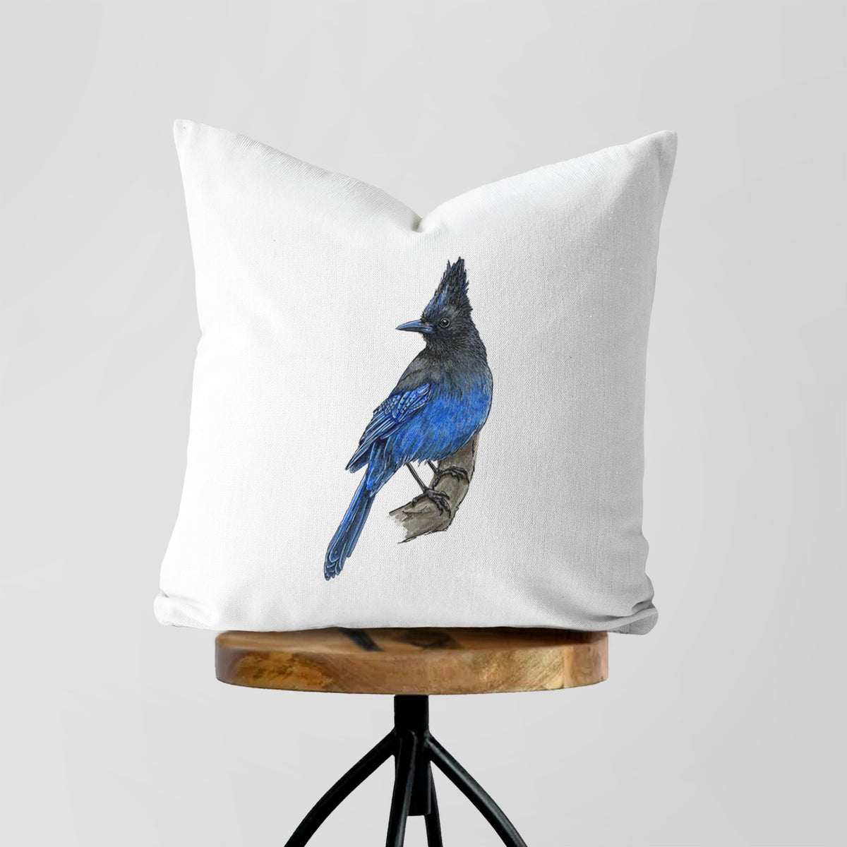 White pillow cover printed with a full-color illustration of a Steller's jay perched with its dark crest raised, on a wooden stool.
