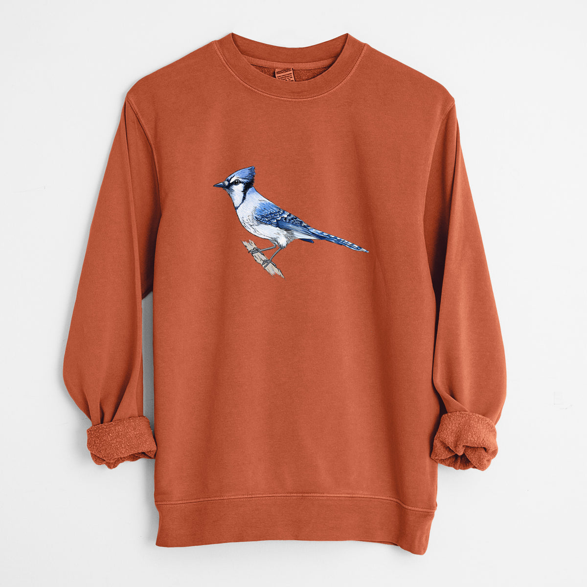 Vibrant Blue Jay - Cyanocitta cristata - Unisex Pigment Dyed Crew Sweatshirt in Amber