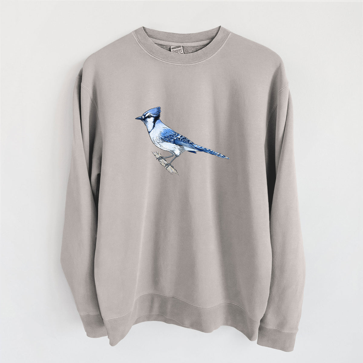 Vibrant Blue Jay - Cyanocitta cristata - Unisex Pigment Dyed Crew Sweatshirt in Cement