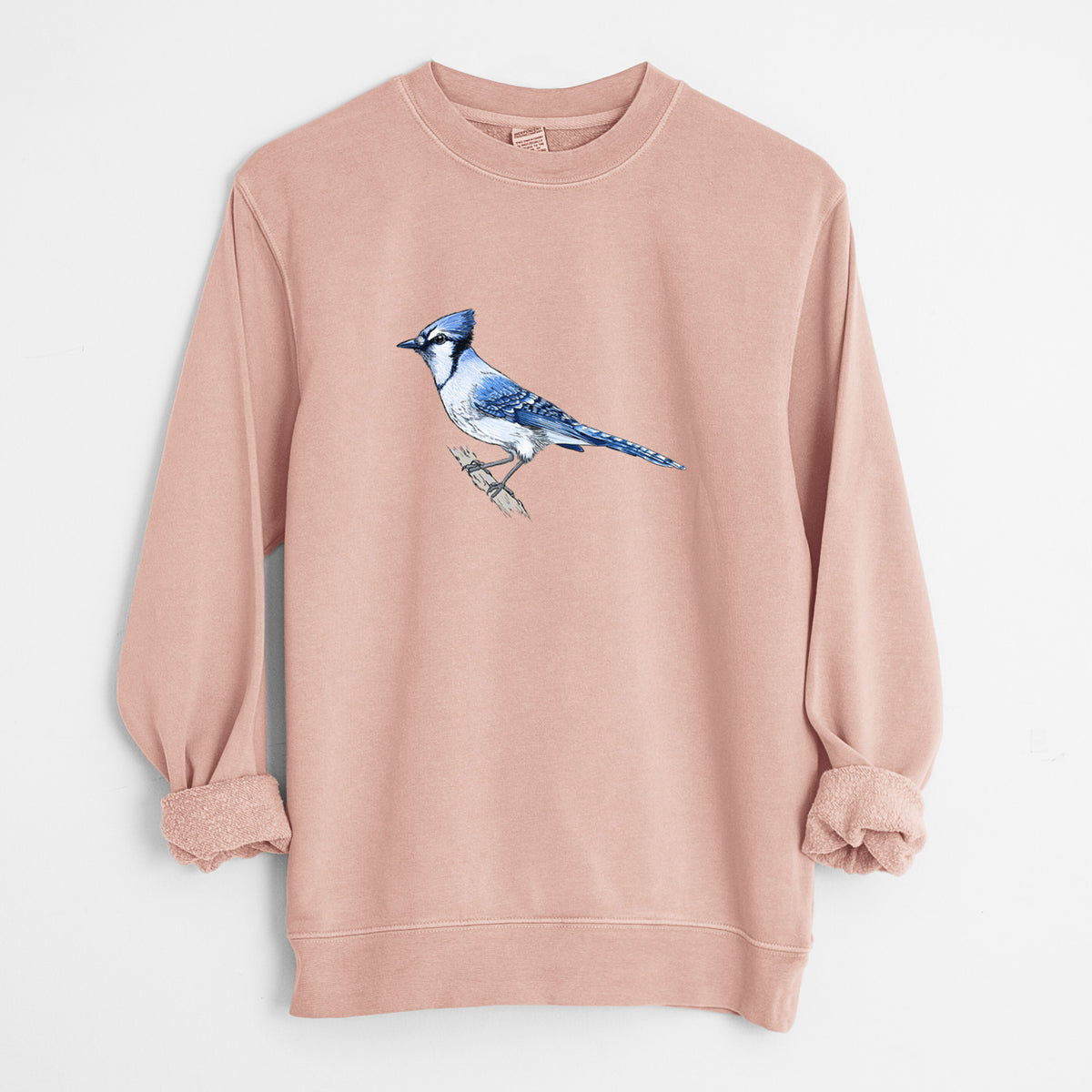 Vibrant Blue Jay - Cyanocitta cristata - Unisex Pigment Dyed Crew Sweatshirt in Dusty Pink