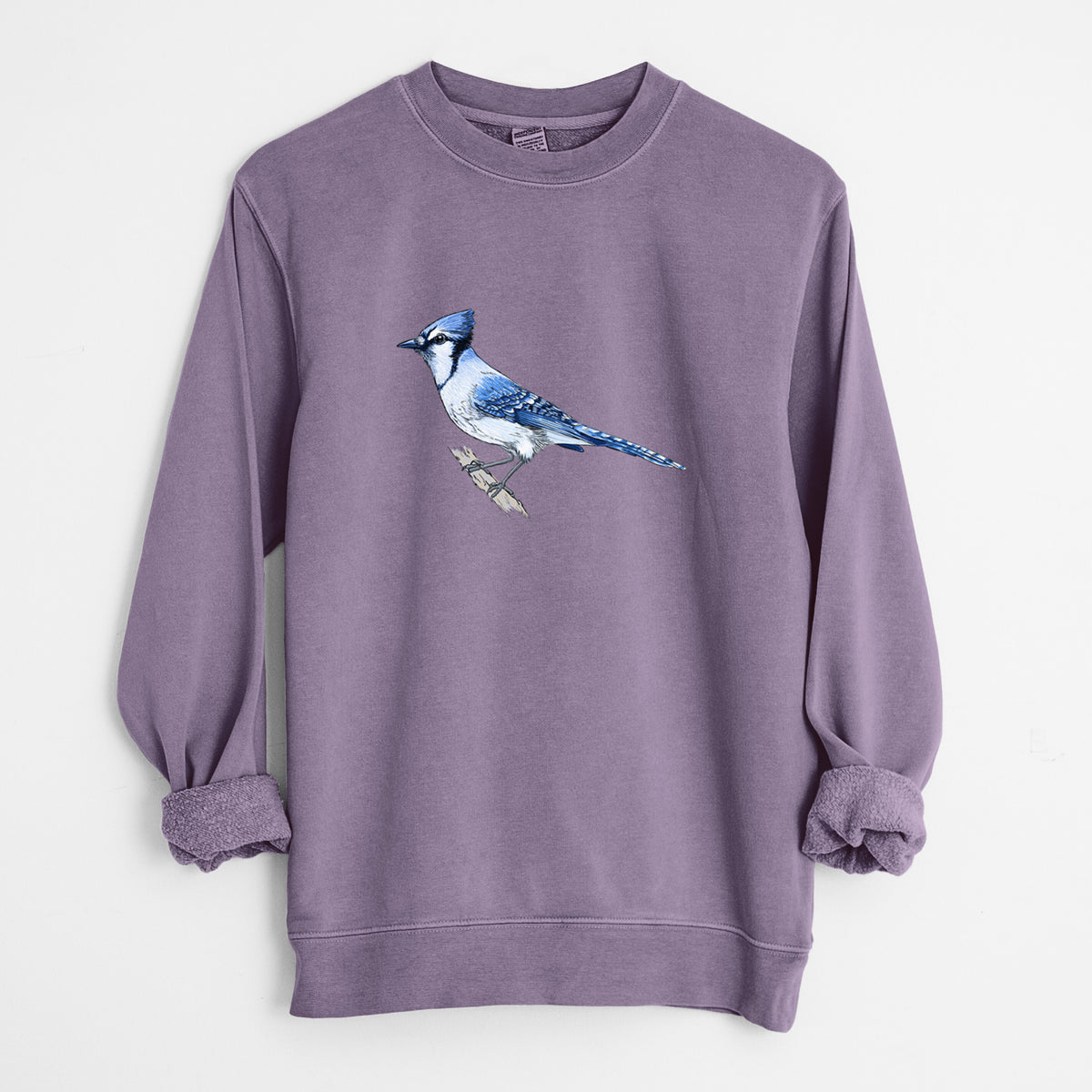 Vibrant Blue Jay - Cyanocitta cristata - Unisex Pigment Dyed Crew Sweatshirt in Plum