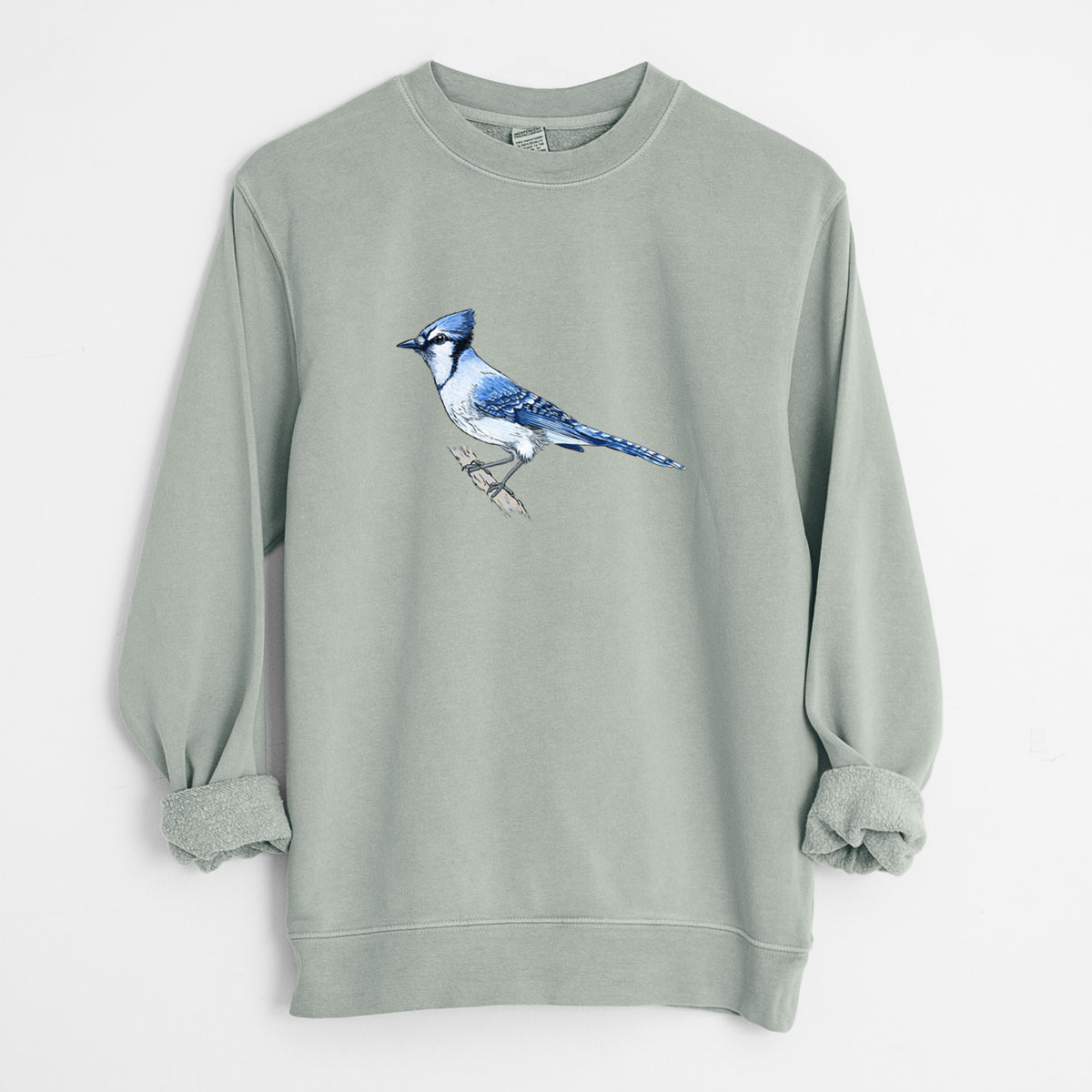 Vibrant Blue Jay - Cyanocitta cristata - Unisex Pigment Dyed Crew Sweatshirt in Sage