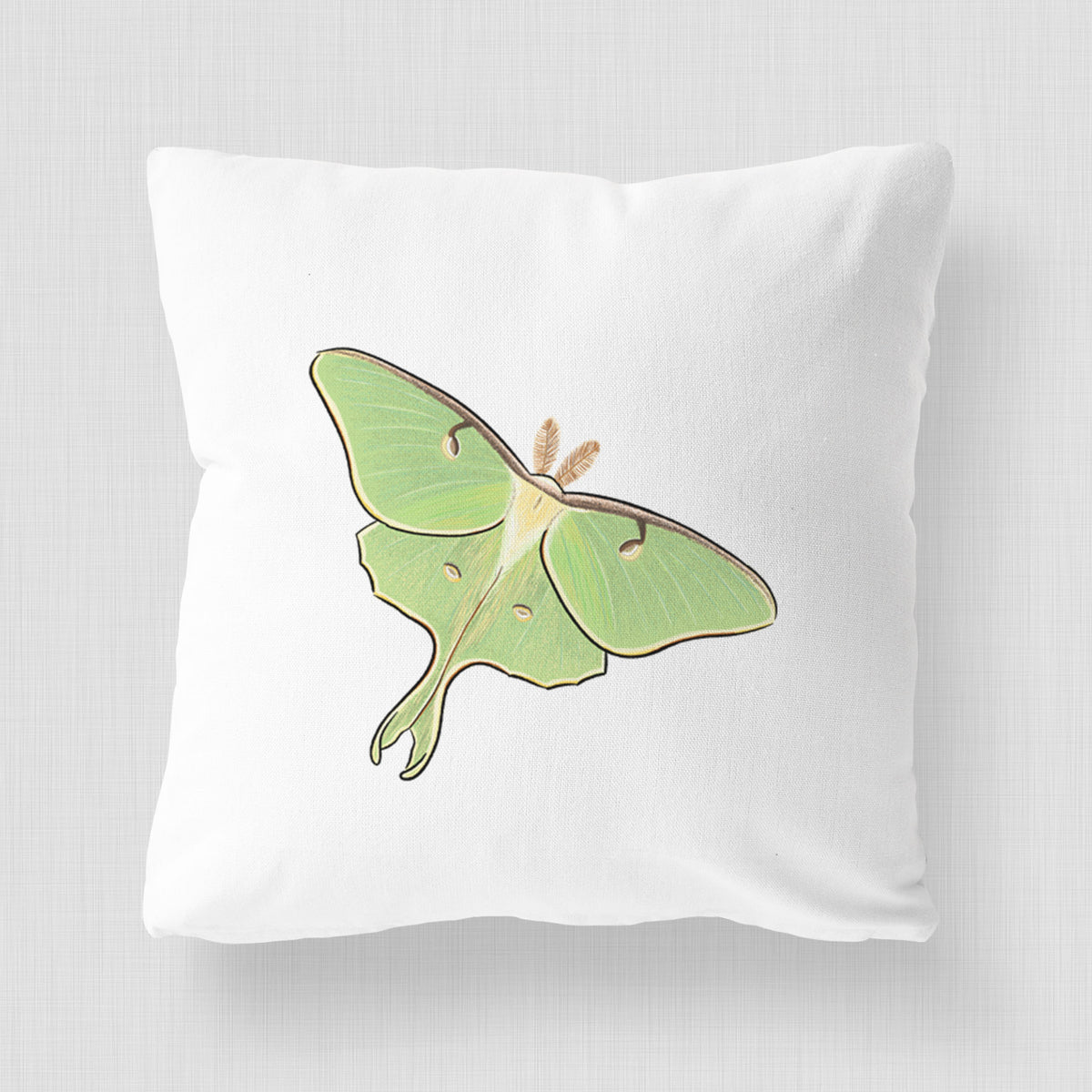 White pillow cover printed with a full-color illustration of a pale green luna moth with long tails on its wings.