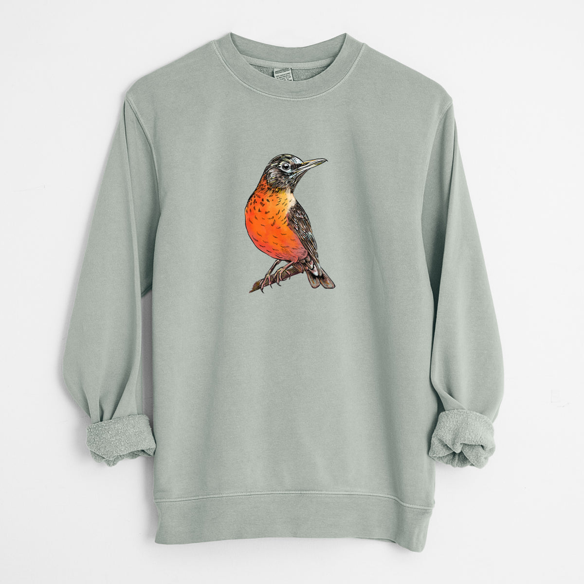 Vibrant American Robin - Turdus migratorius - Unisex Pigment Dyed Crew Sweatshirt in Sage