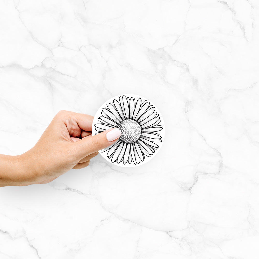 Hand holding a 4 inch vinyl decal of a detailed black ink line drawing of a single common daisy flower.