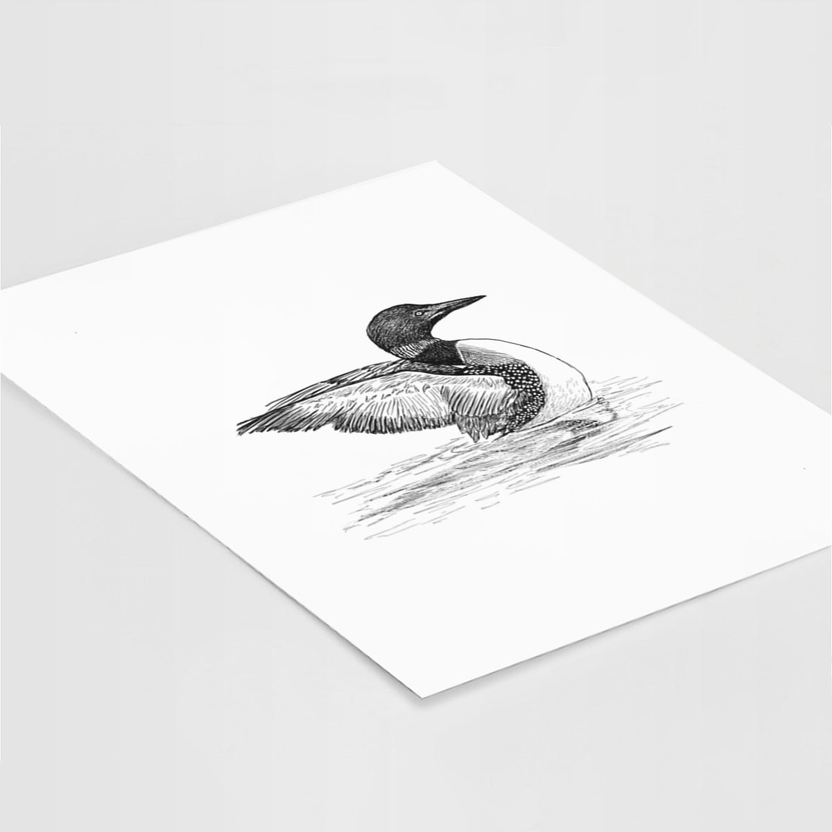 Art print of a detailed black ink sketch of a common loon floating on rippling water, lying at an angle on a white surface.