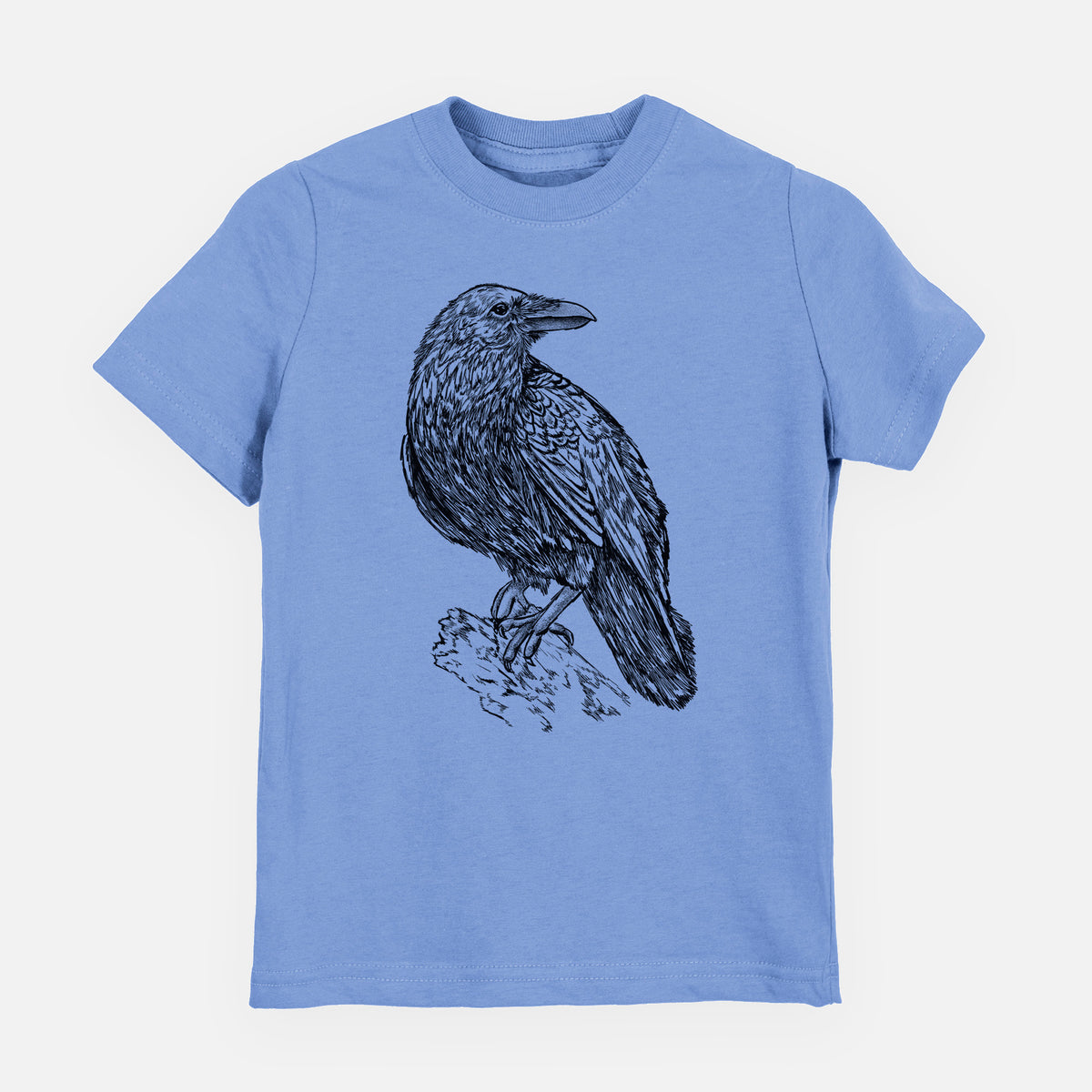 Carolina blue youth t-shirt laid flat, printed with a detailed black ink sketch of a common raven perched on a rock.