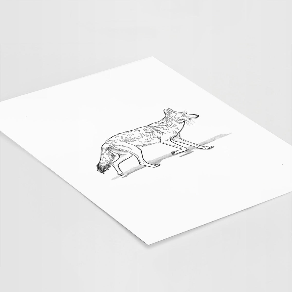 Art print of a black ink illustration of a coyote trotting, lying at an angle on a white surface.