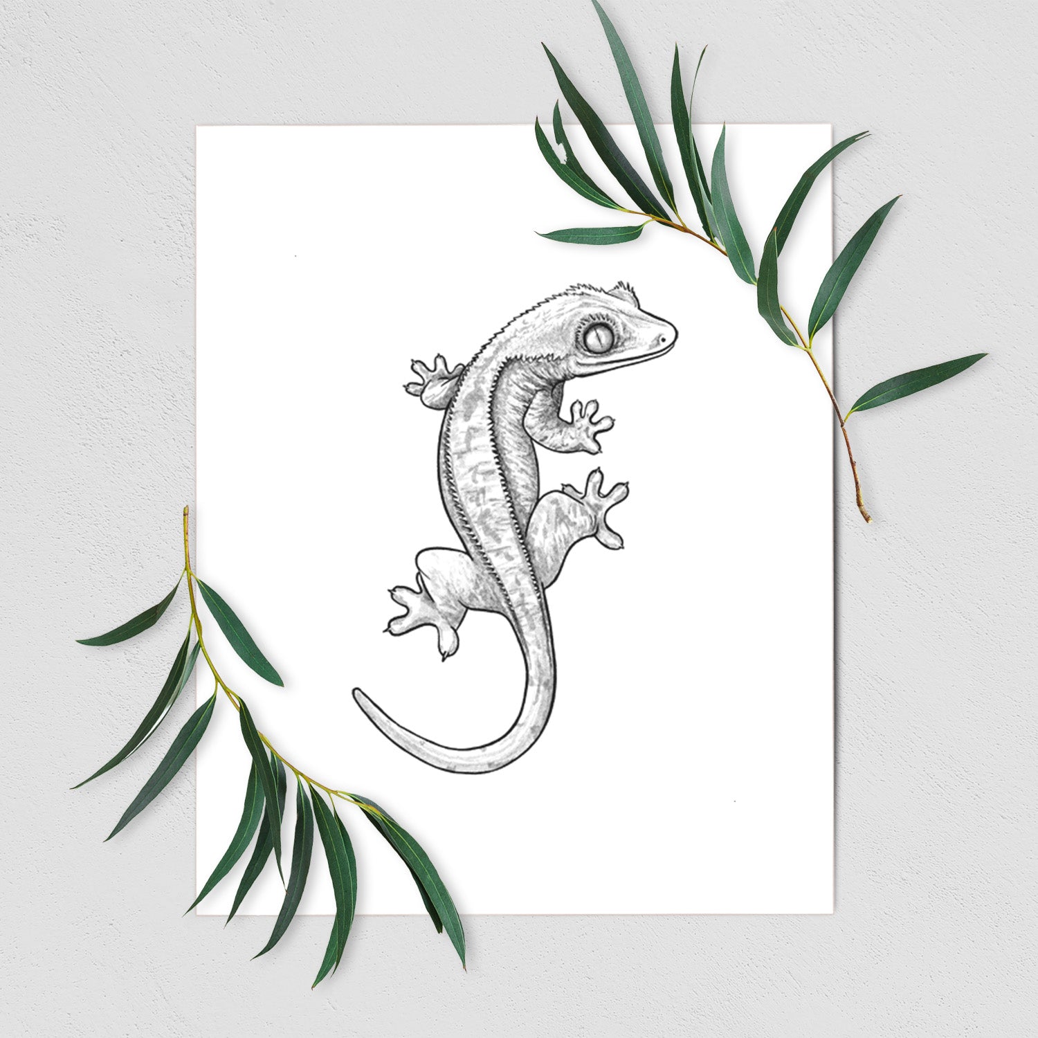 Art print of a detailed black ink illustration of a crested gecko climbing, shown with eucalyptus leaves.