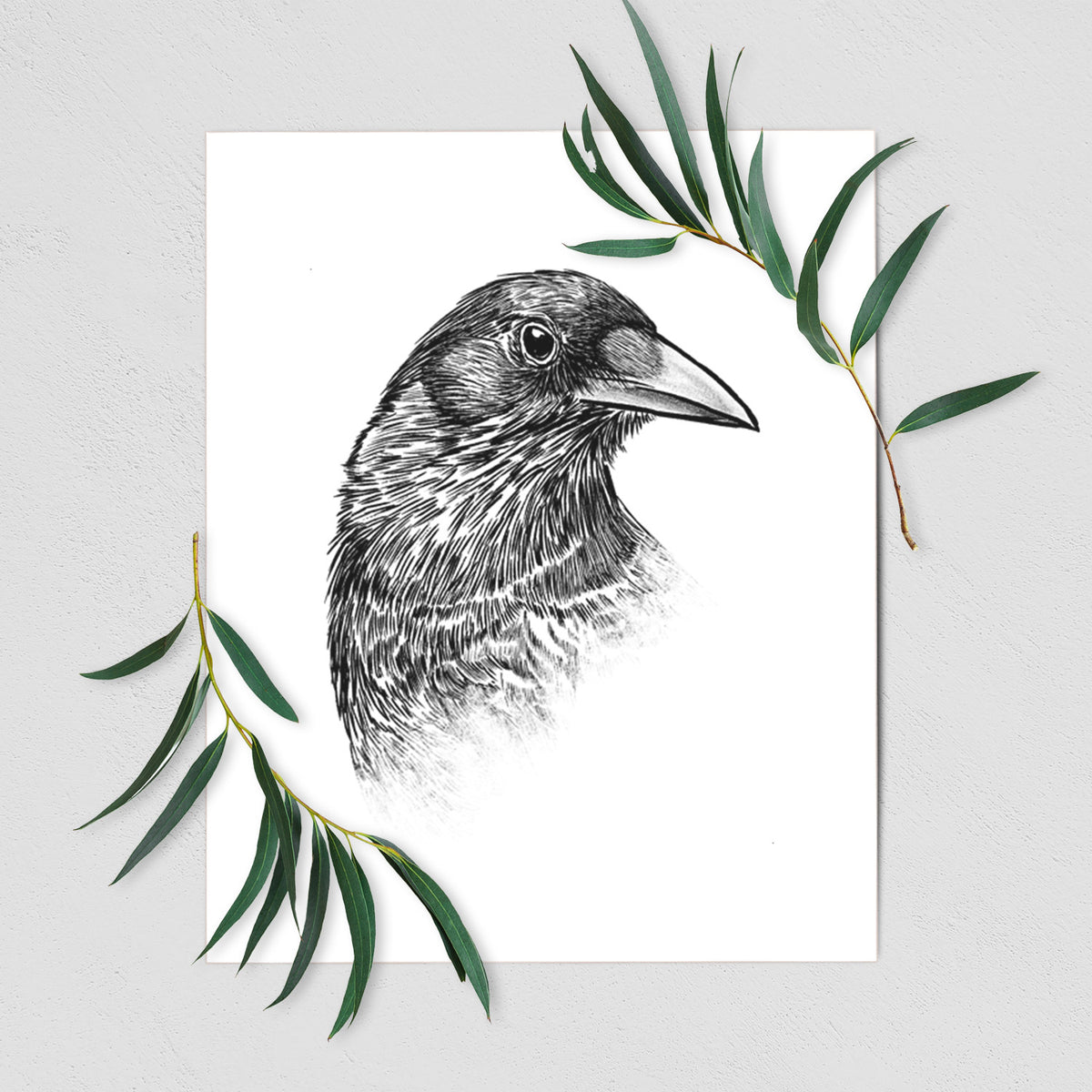 Art print of a detailed black ink portrait of a crow's head in profile, shown with eucalyptus leaves.