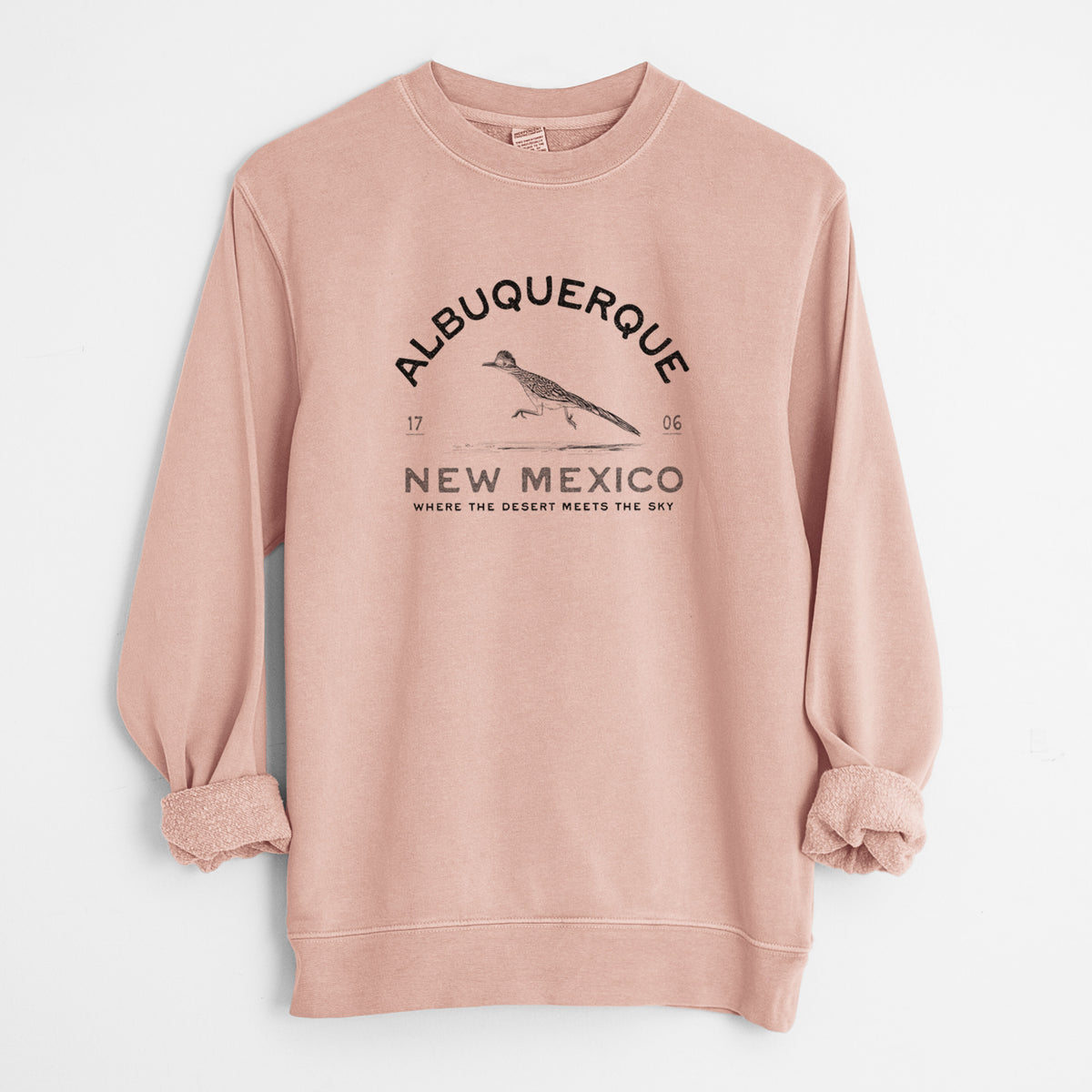 Albuquerque New Mexico Roadrunner - Unisex Pigment Dyed Crew Sweatshirt in Dusty Pink
