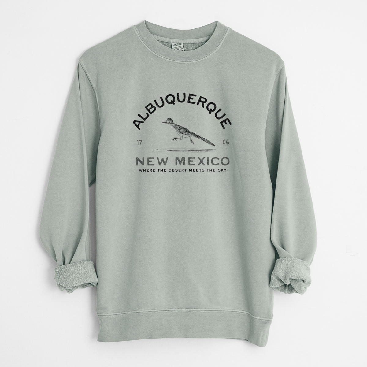 Albuquerque New Mexico Roadrunner - Unisex Pigment Dyed Crew Sweatshirt in Sage