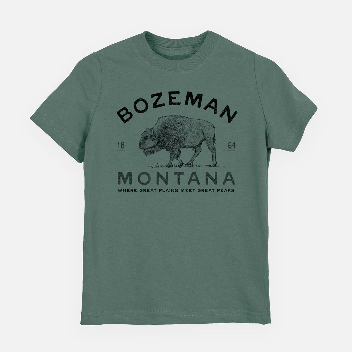 Basil green youth t-shirt laid flat, printed with a black ink bison with the words Bozeman Montana, 1864, Where Great Plains Meet Great Peaks.