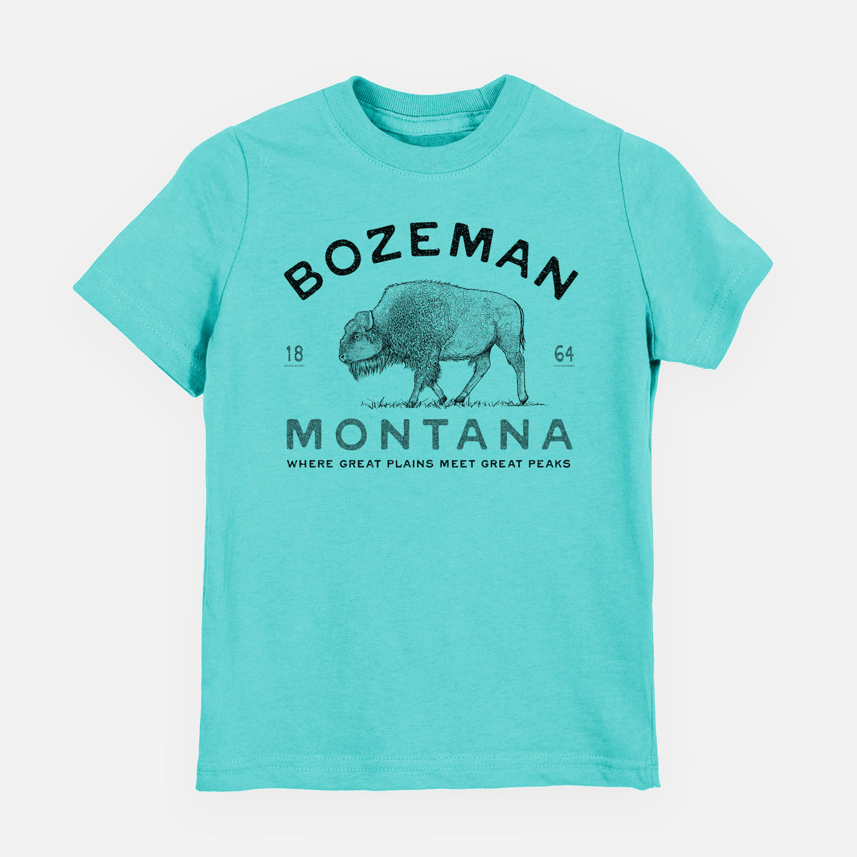 Caribbean blue youth t-shirt laid flat, printed with a black ink bison with the words Bozeman Montana, 1864, Where Great Plains Meet Great Peaks.