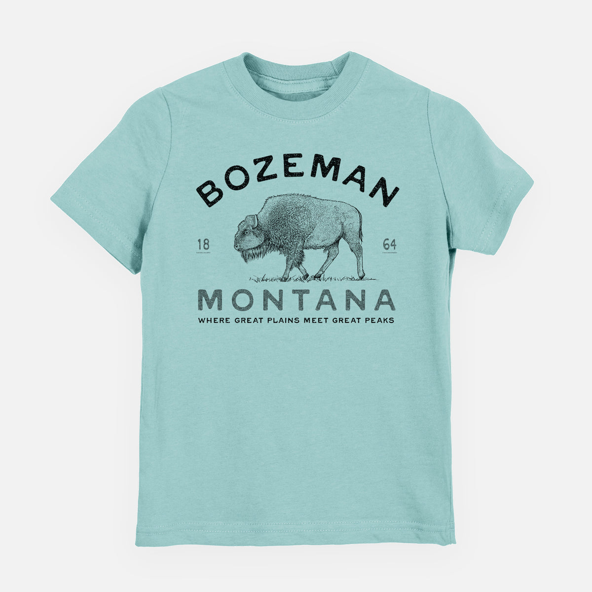 Saltwater youth t-shirt laid flat, printed with a black ink bison with the words Bozeman Montana, 1864, Where Great Plains Meet Great Peaks.